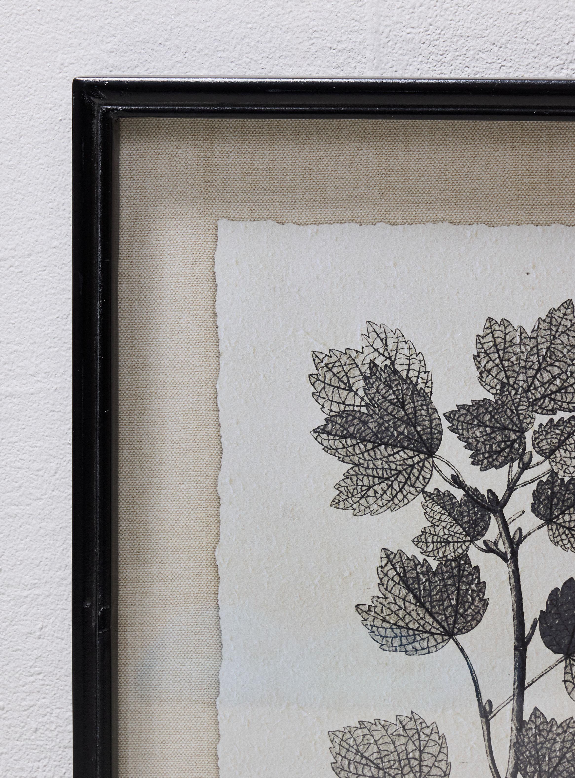 Set de 2 Cuadros Hojas 35x45 cm-2