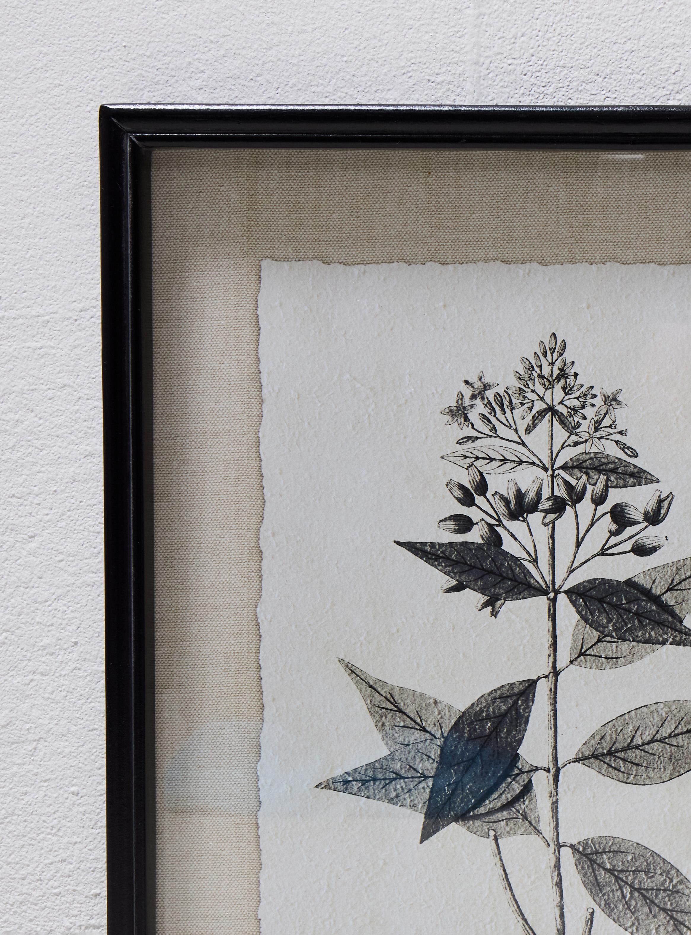 Set de 2 Cuadros Hojas 35x45 cm-2