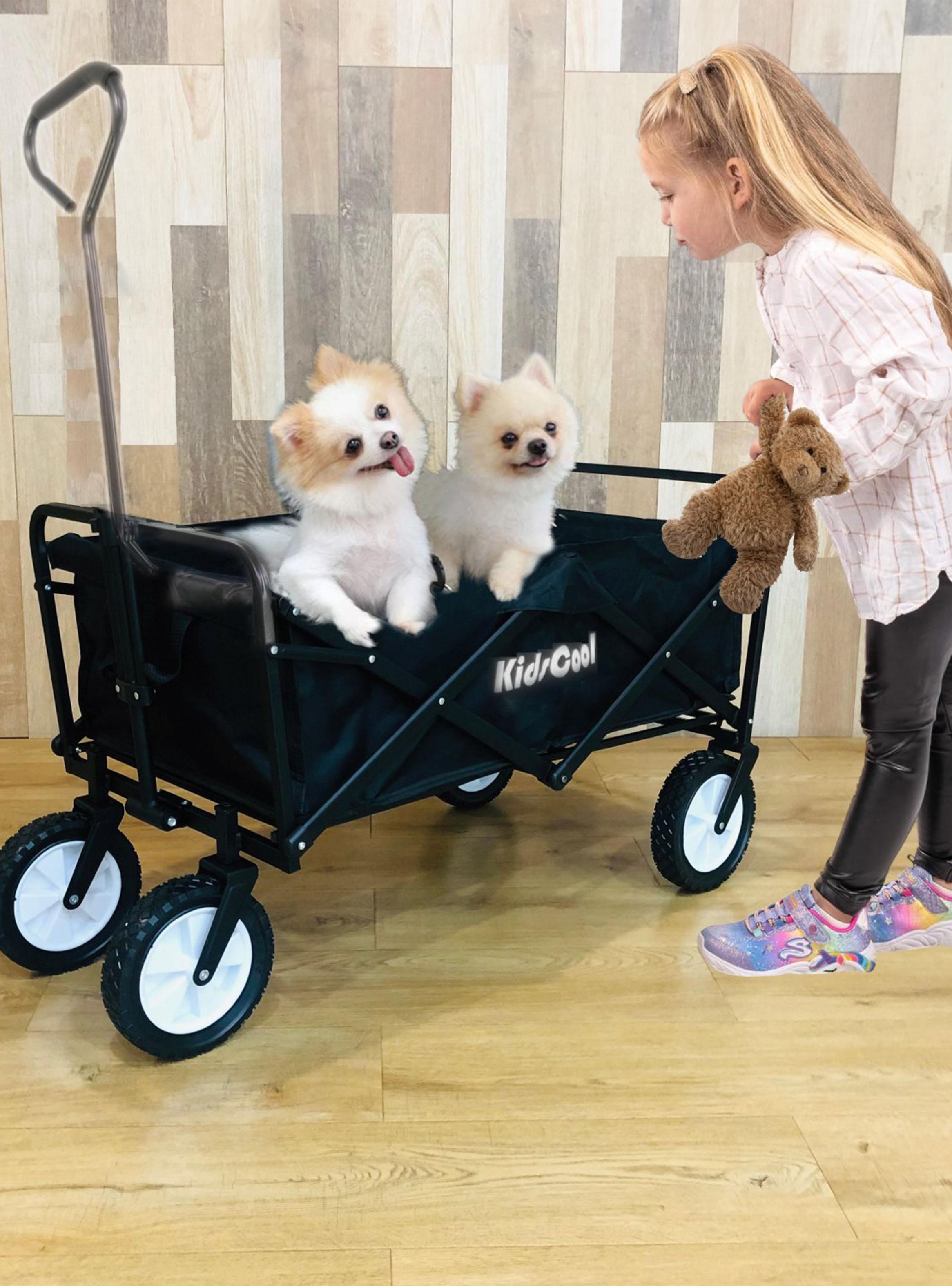 Carro Wagon Junior Negro Plegable-5