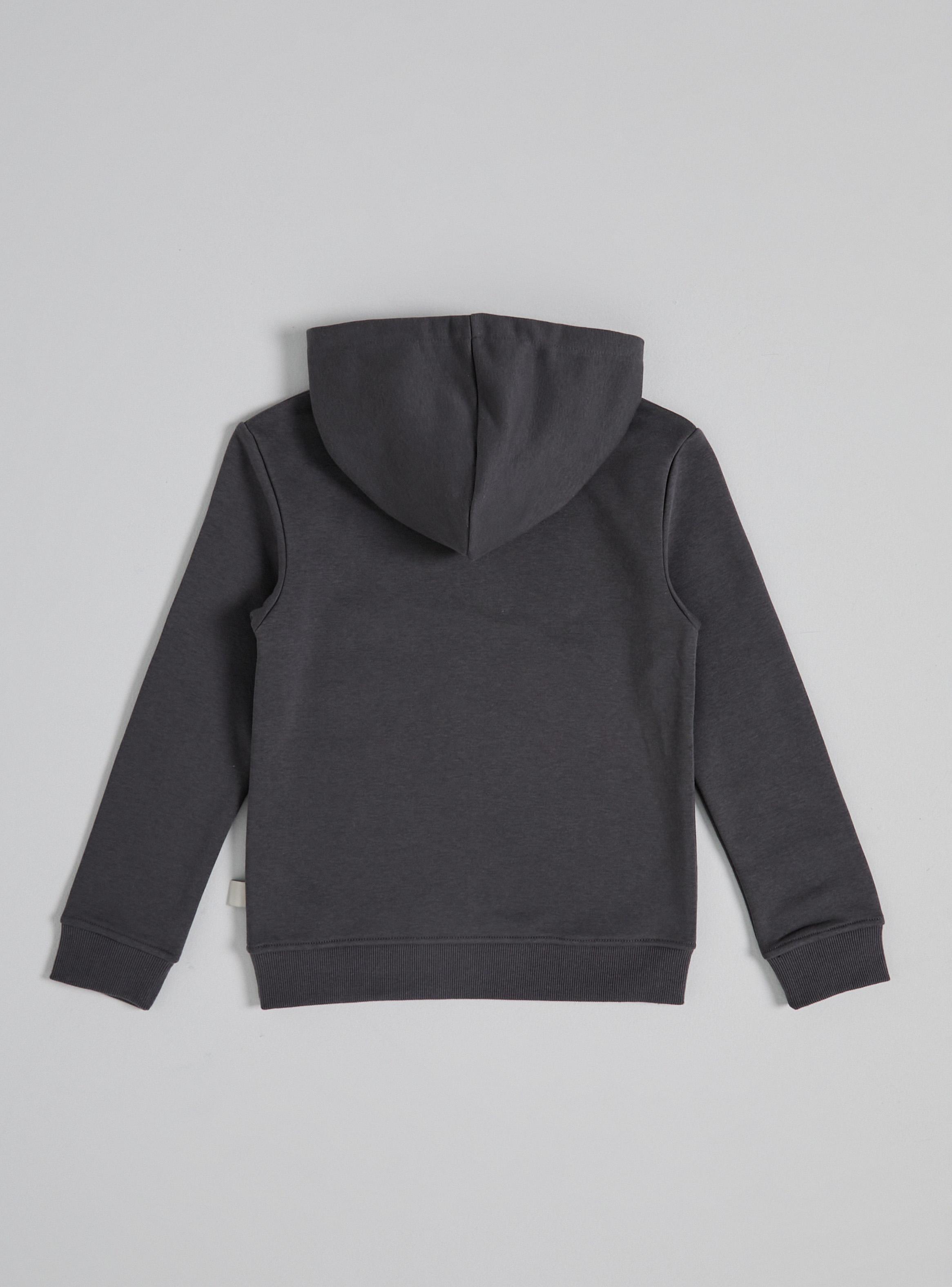 Polerón Estampado Rex Pixar Algodón-2