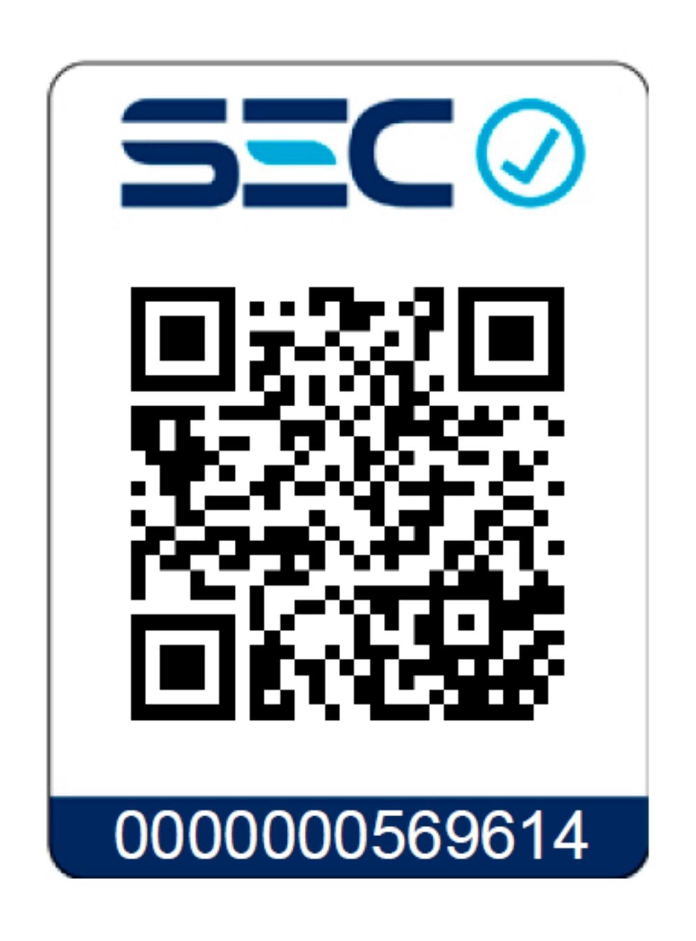 Campana Decorativa Vertical 60 cm DVT68660 VGBK-5