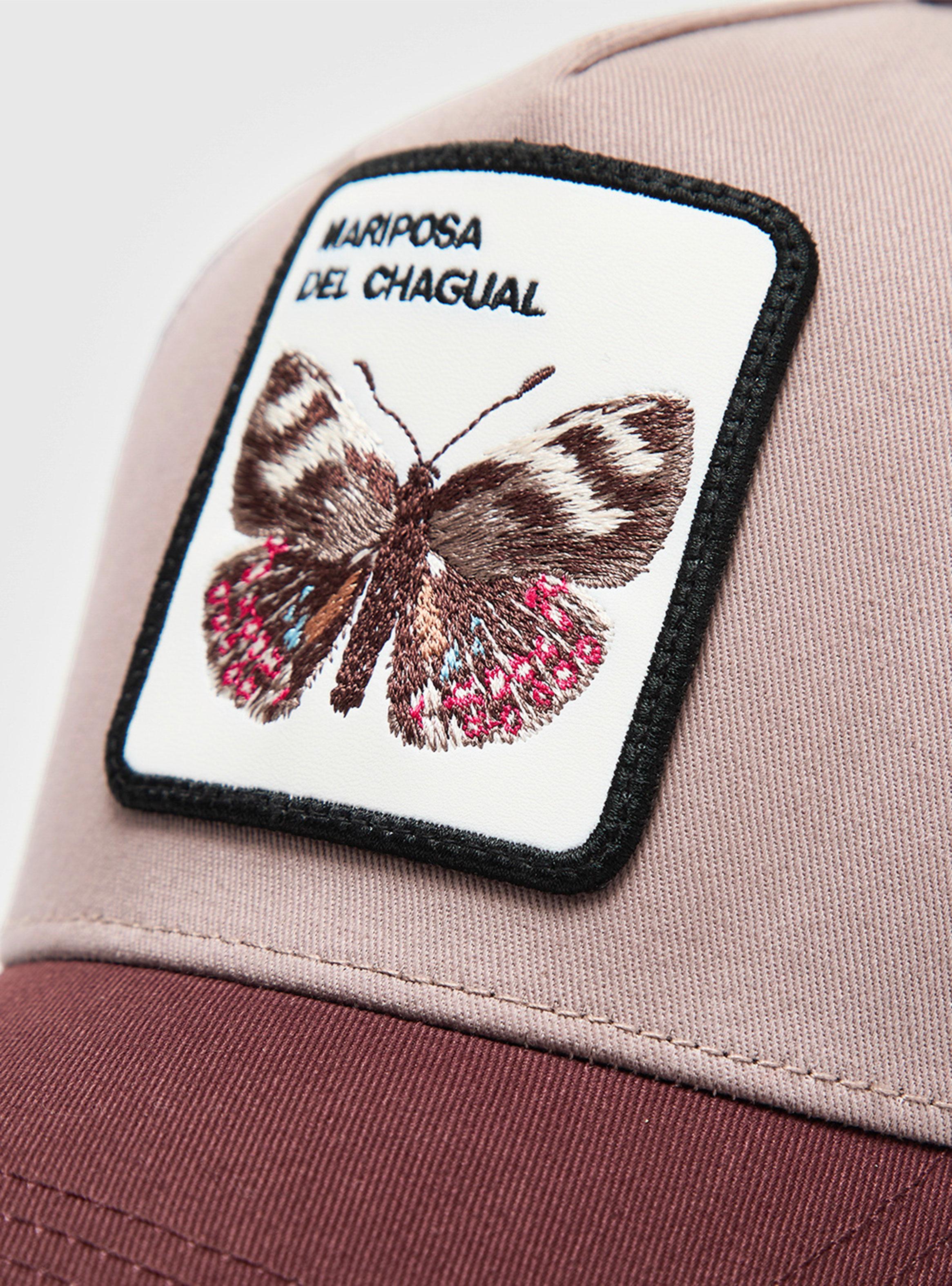 Jockey Mariposa del Chagual Orgánico Lila-5