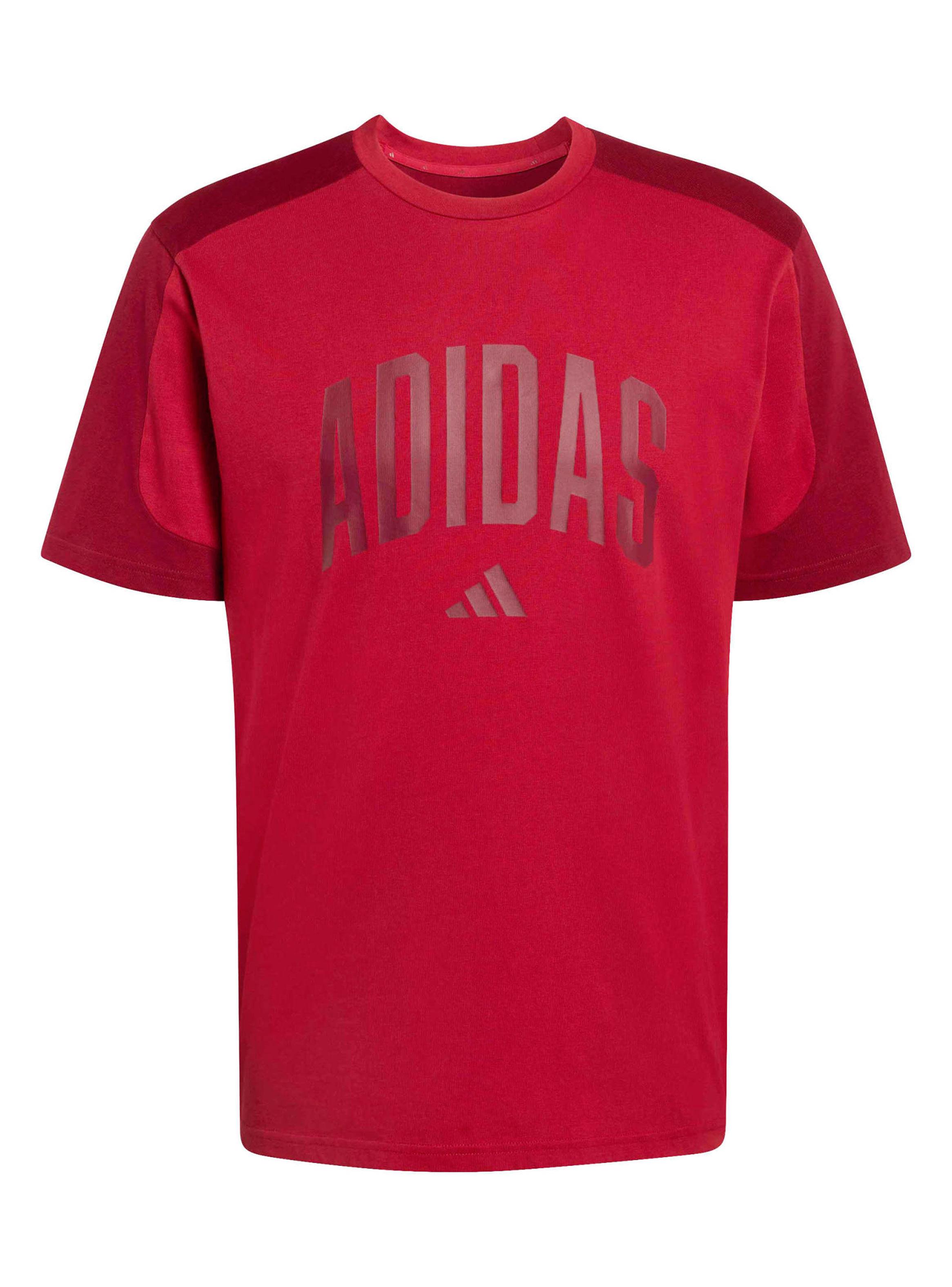 Polera Collegiate Te Big Logo-5