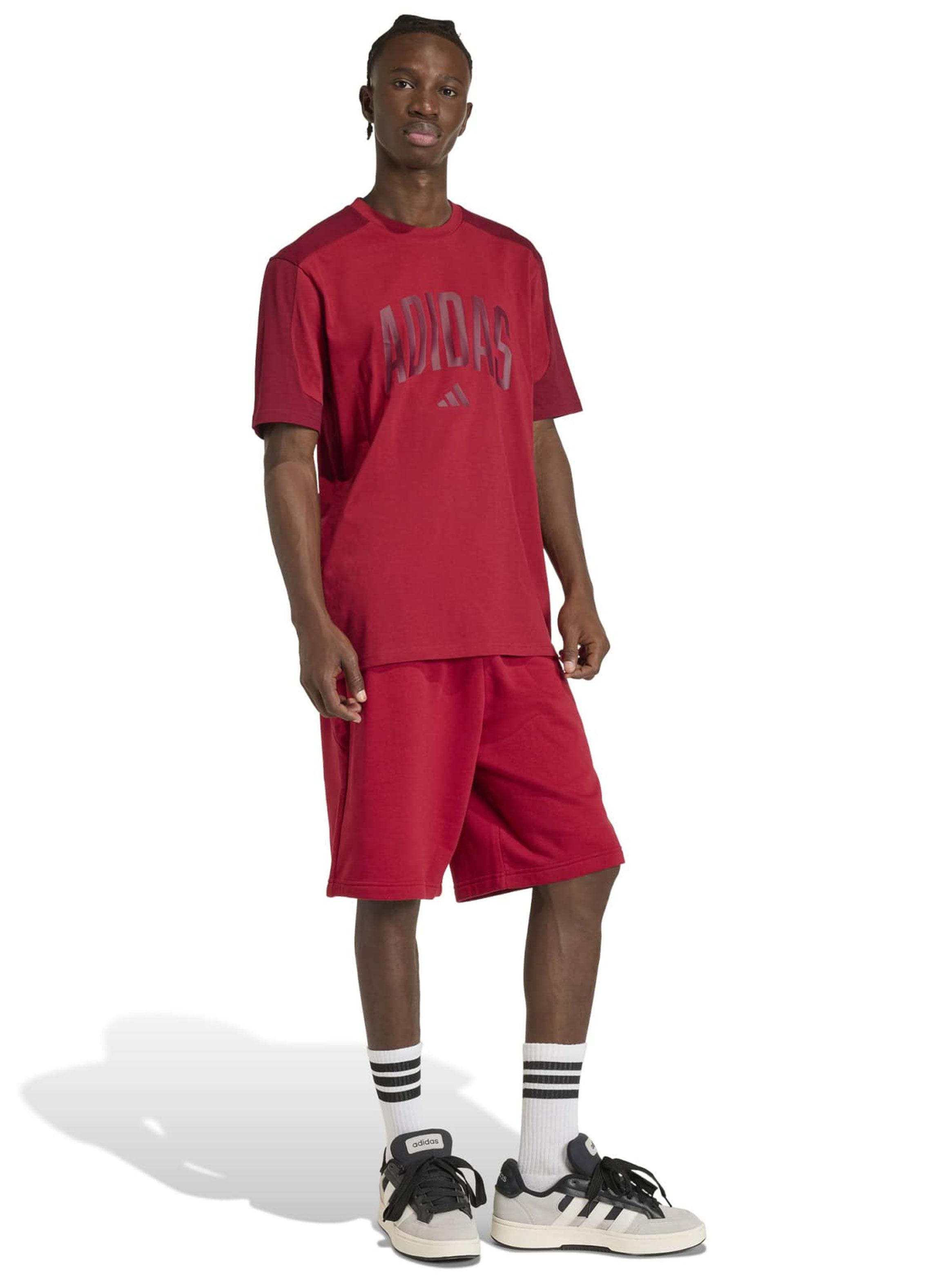 Polera Collegiate Te Big Logo-4