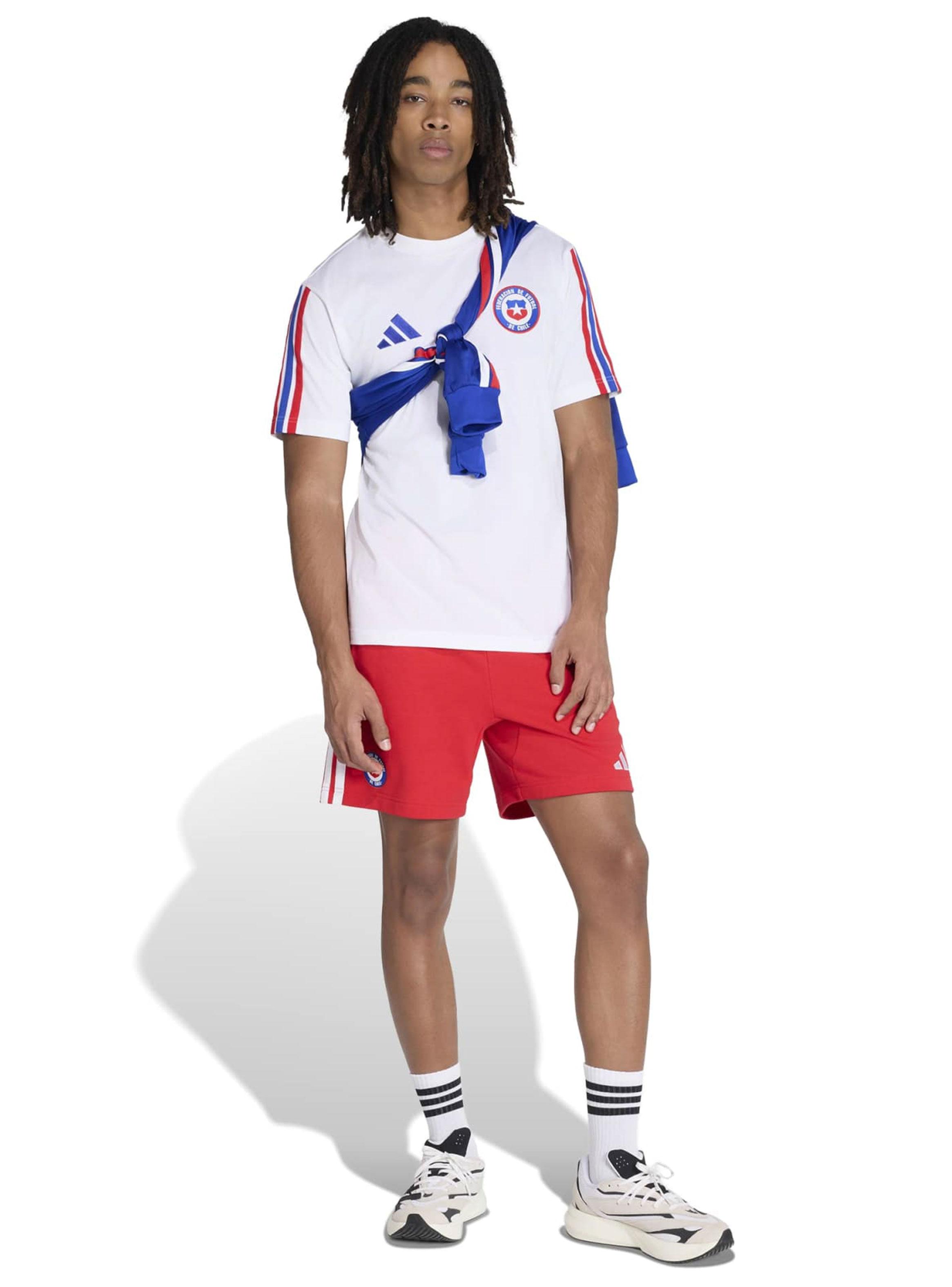 Polera de Fútbol ANFP Dna Tee-4