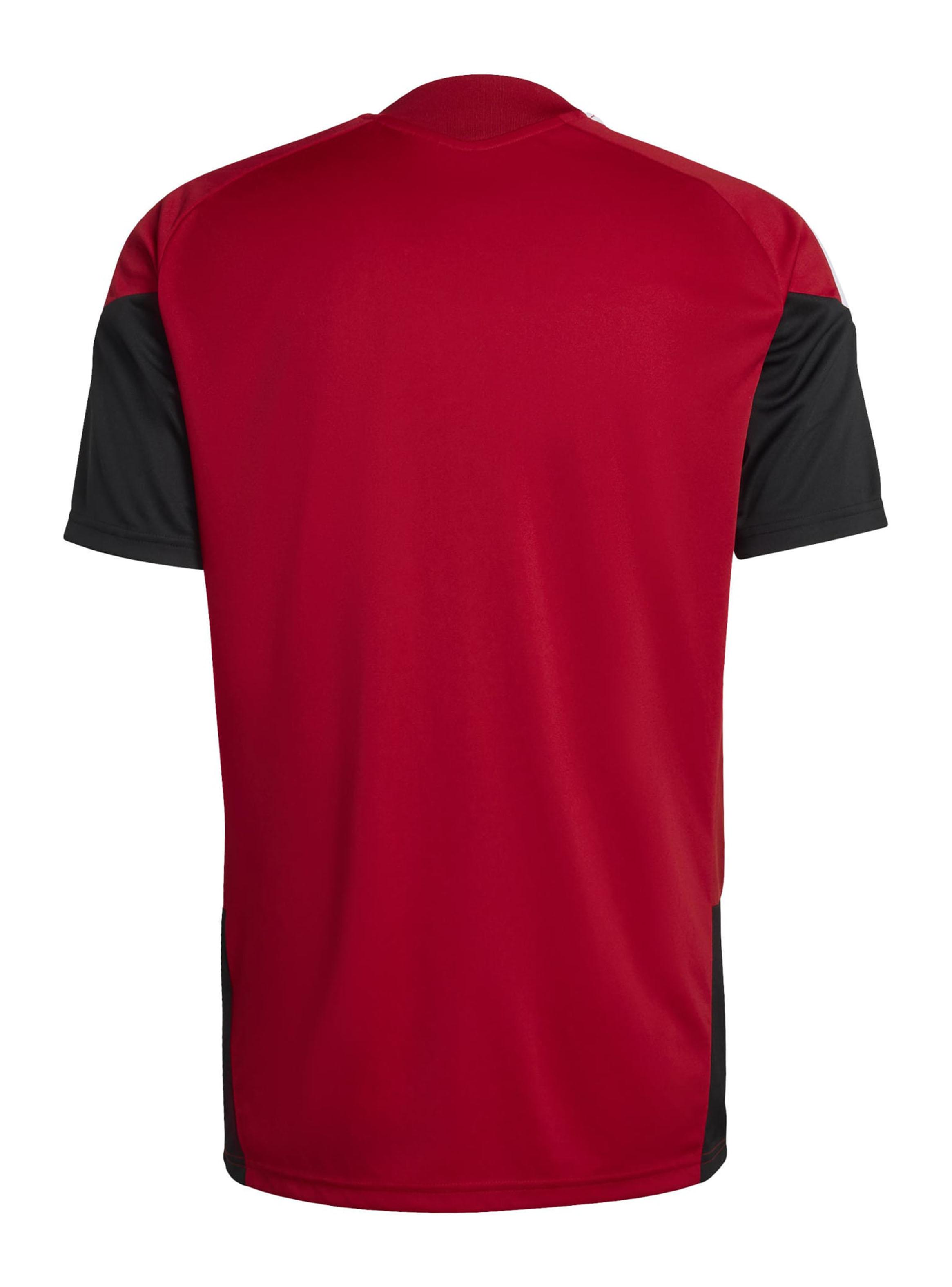 Camiseta de Fútbol Deutscher Fussball-Bund Jersey-2