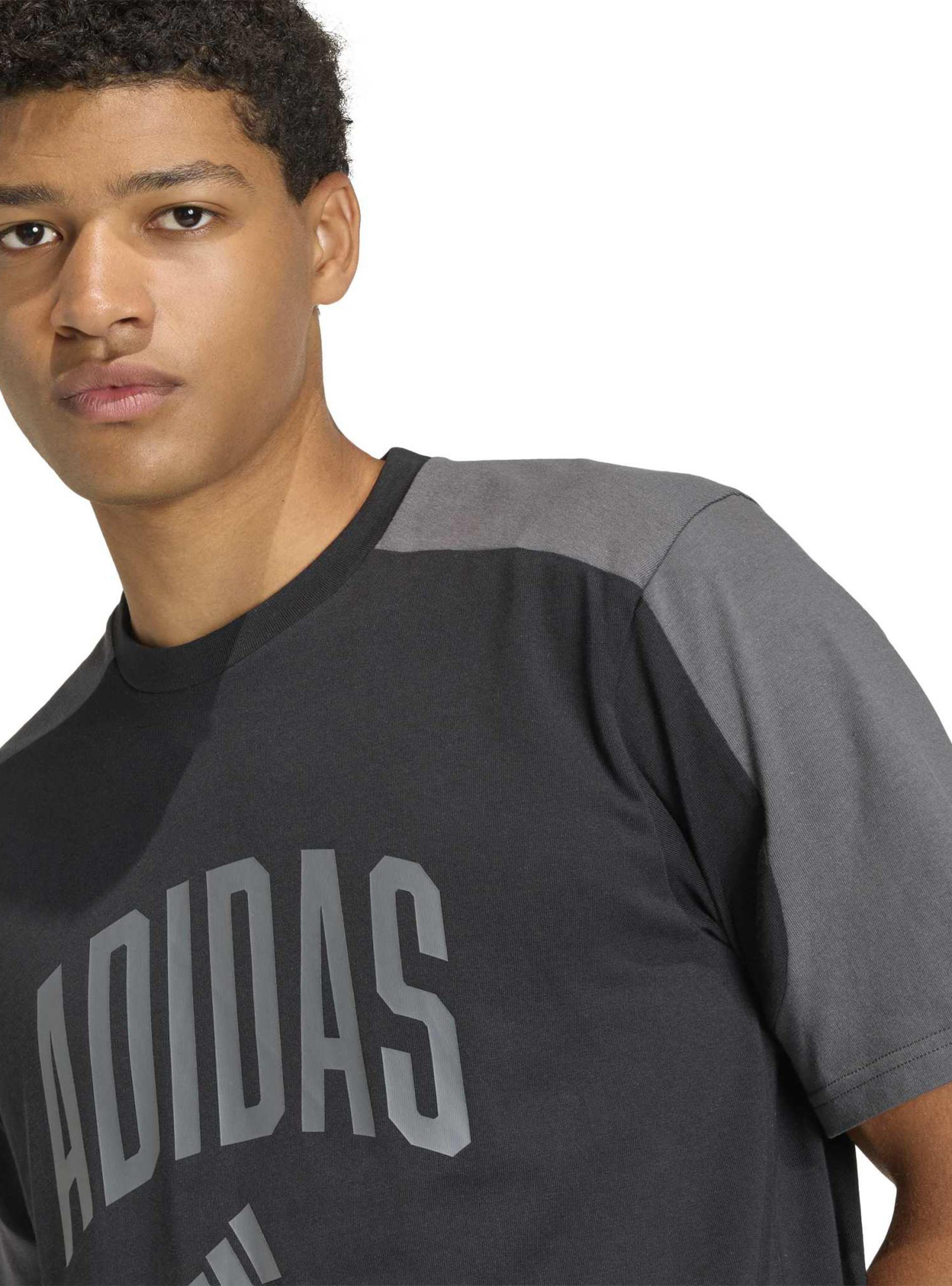 Polera Full Big Logo Collegiate Te-2