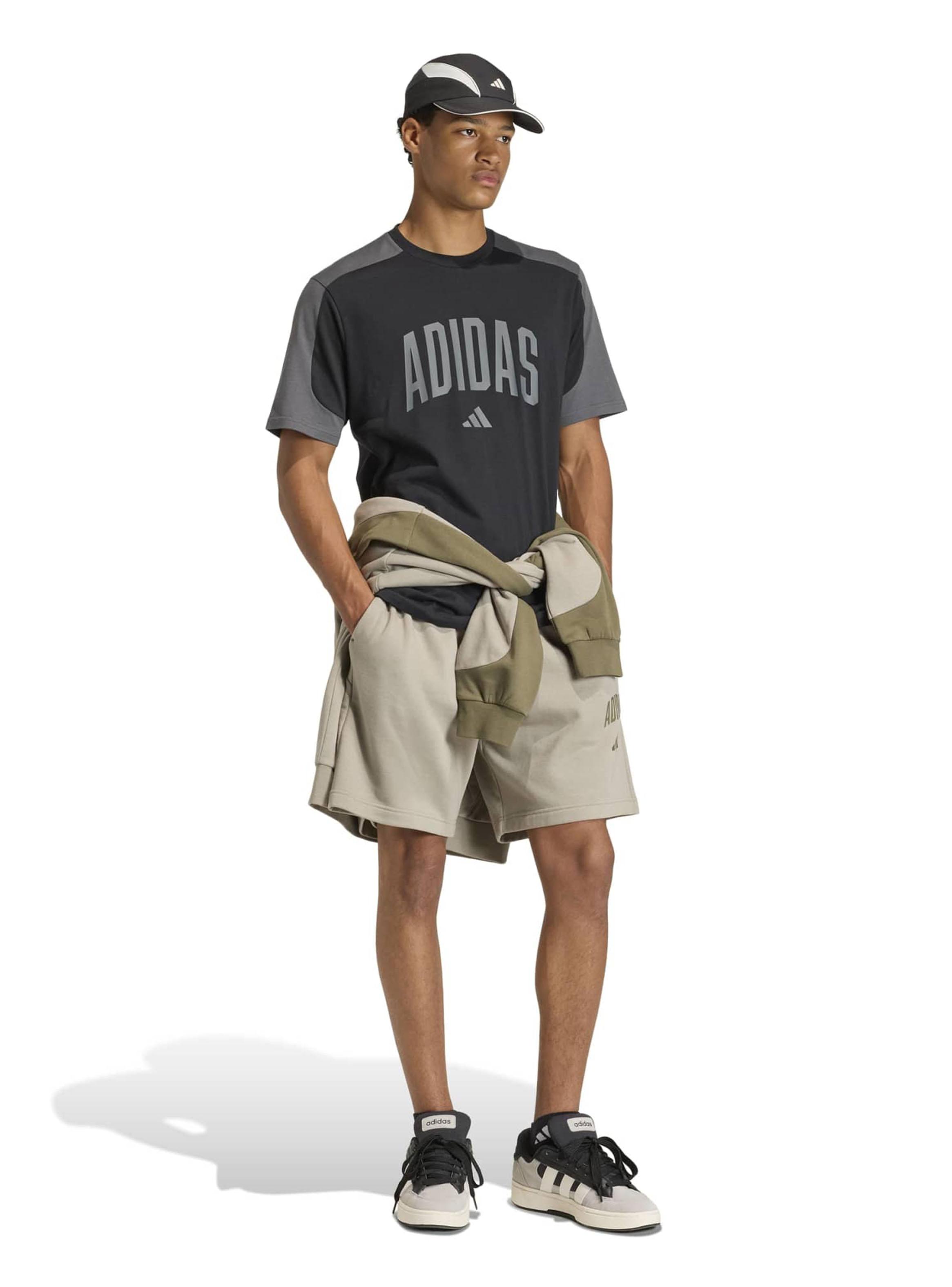 Polera Full Big Logo Collegiate Te-5