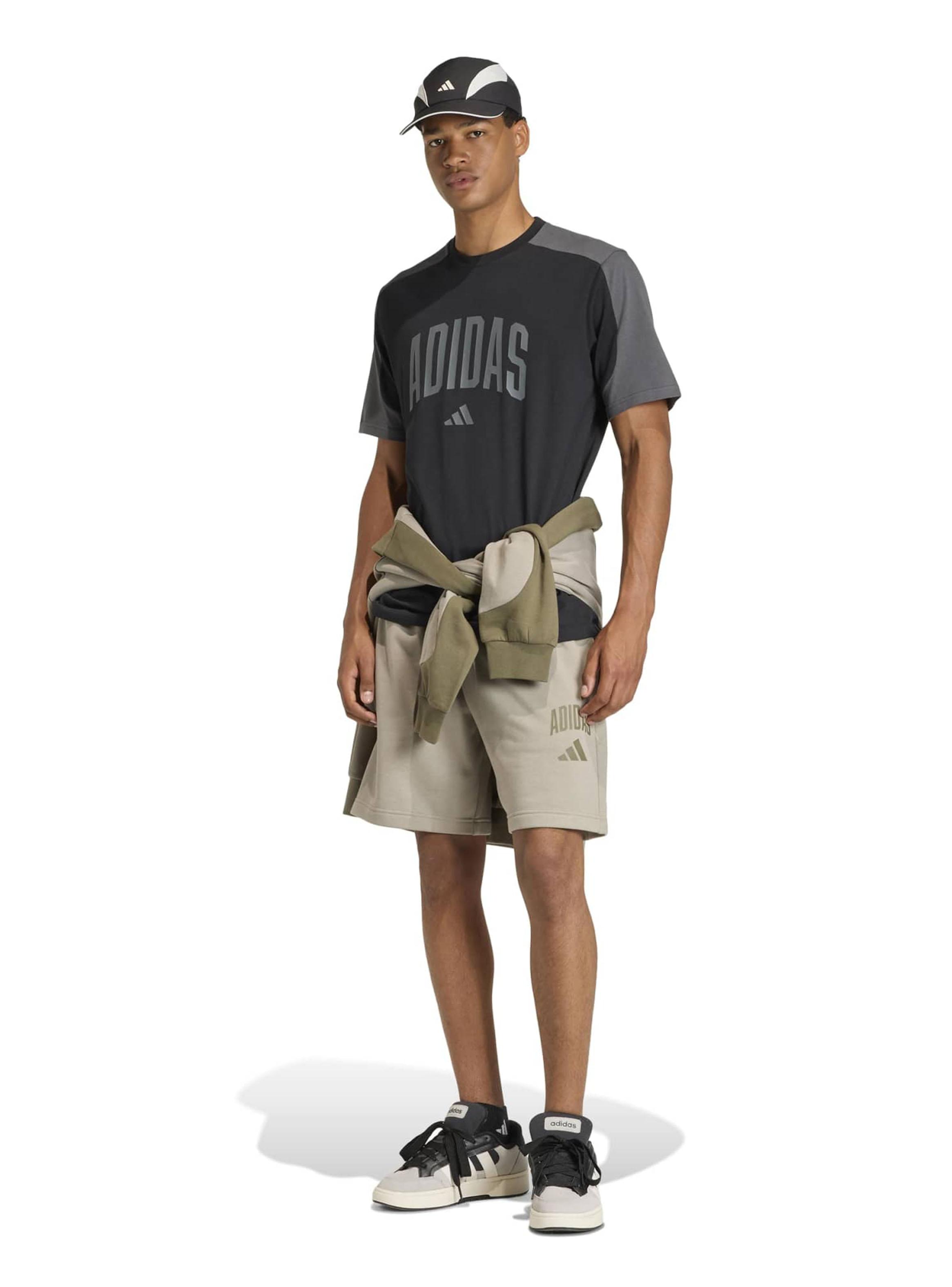 Polera Full Big Logo Collegiate Te-4