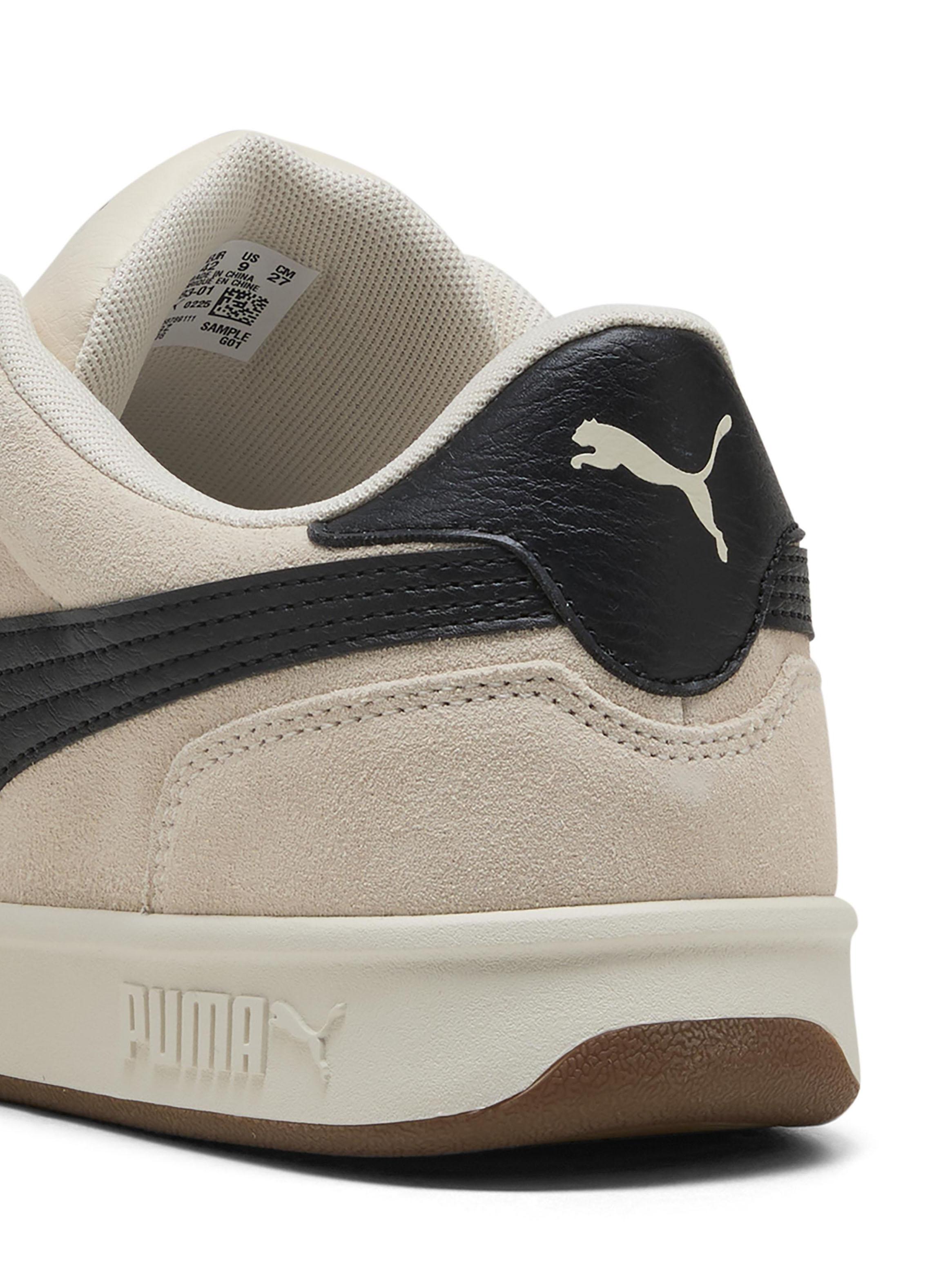 Zapatilla Urbana Hombre Park LT SD-3