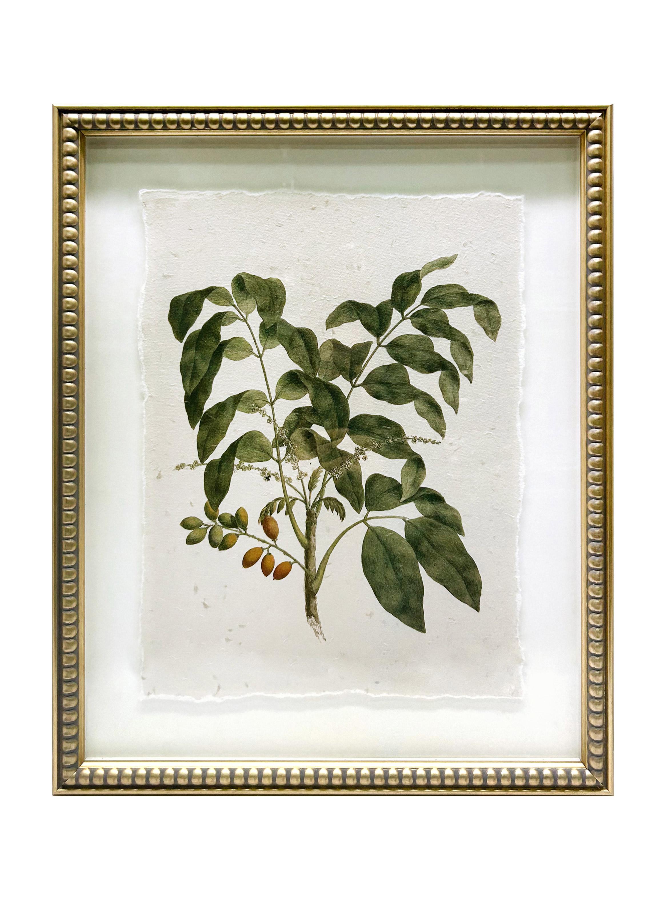 Set X3 Cuadros Hojas-2