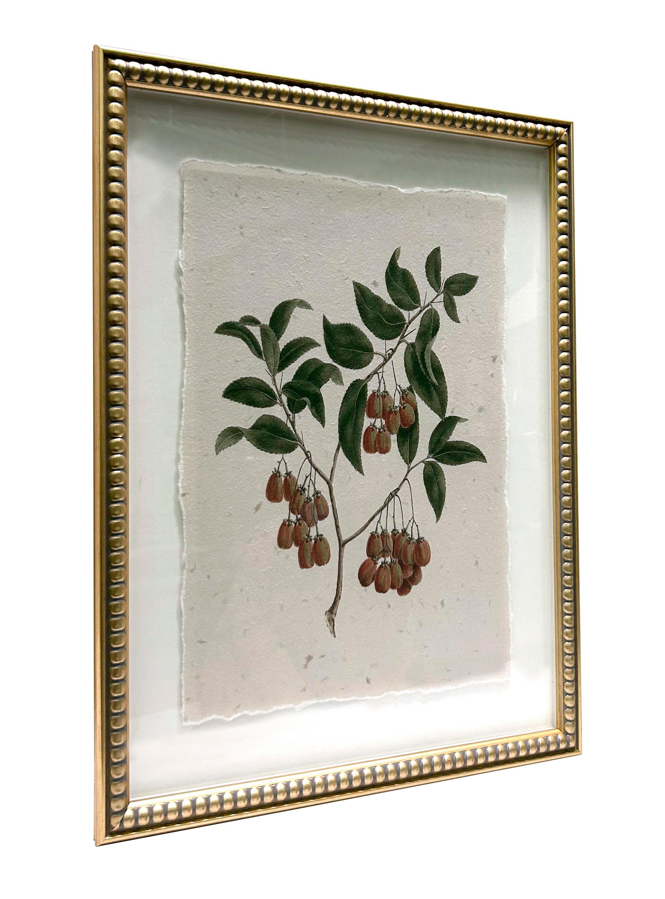 Set X3 Cuadros Hojas-4