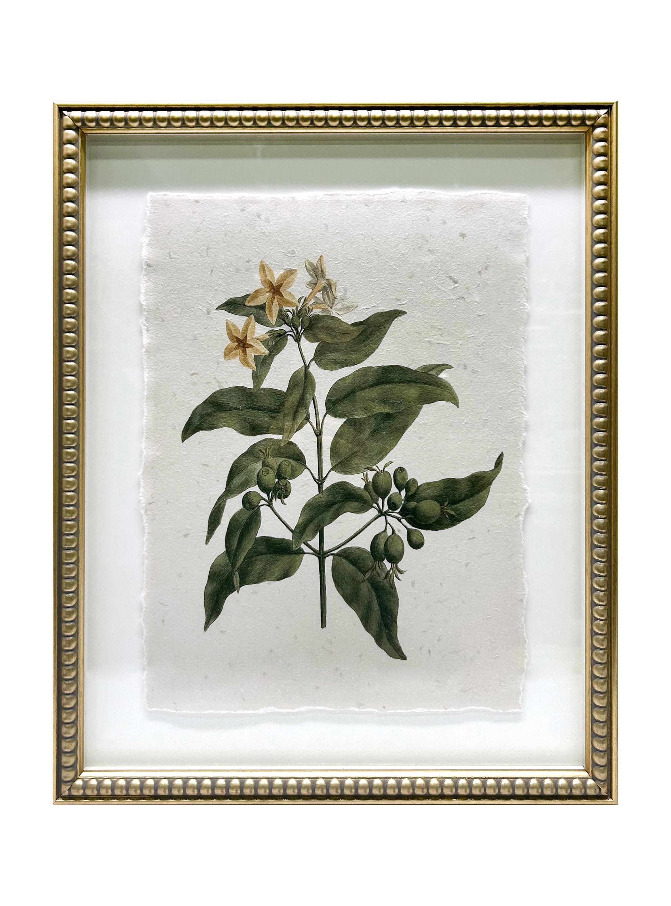 Set X3 Cuadros Hojas-3