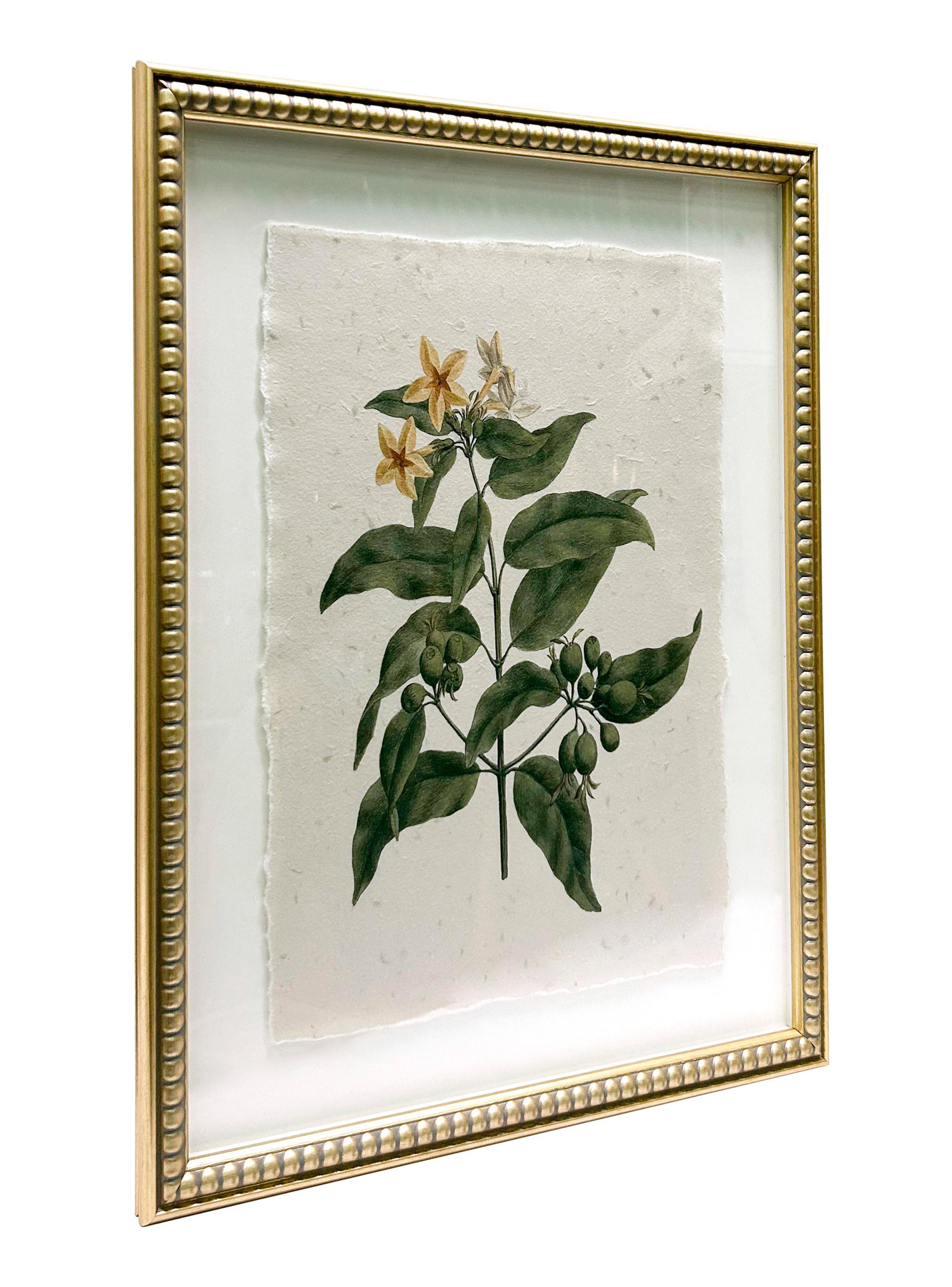 Set X3 Cuadros Hojas-6