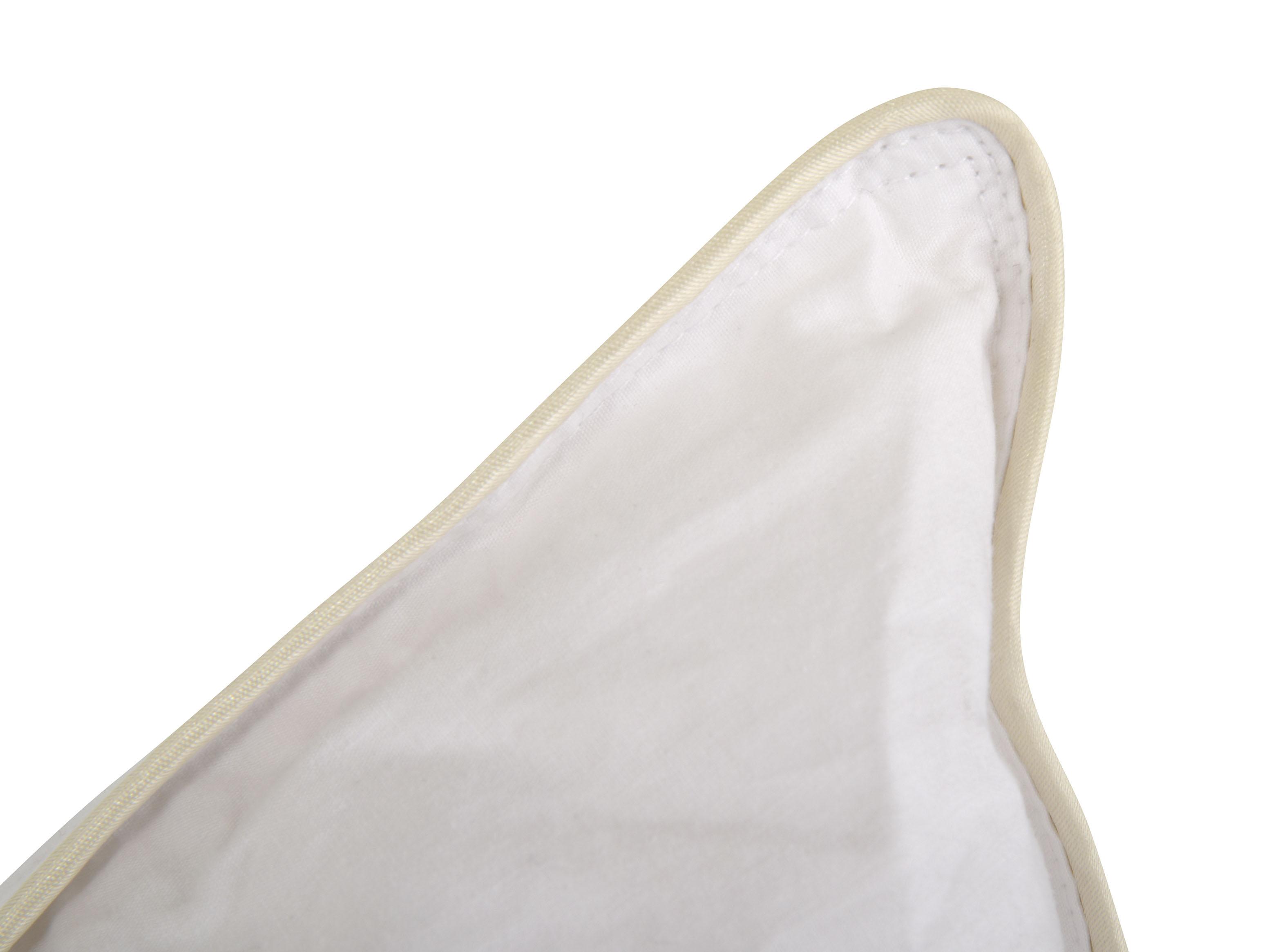 Almohada Pluma Ganso 50 x 90 cm-2