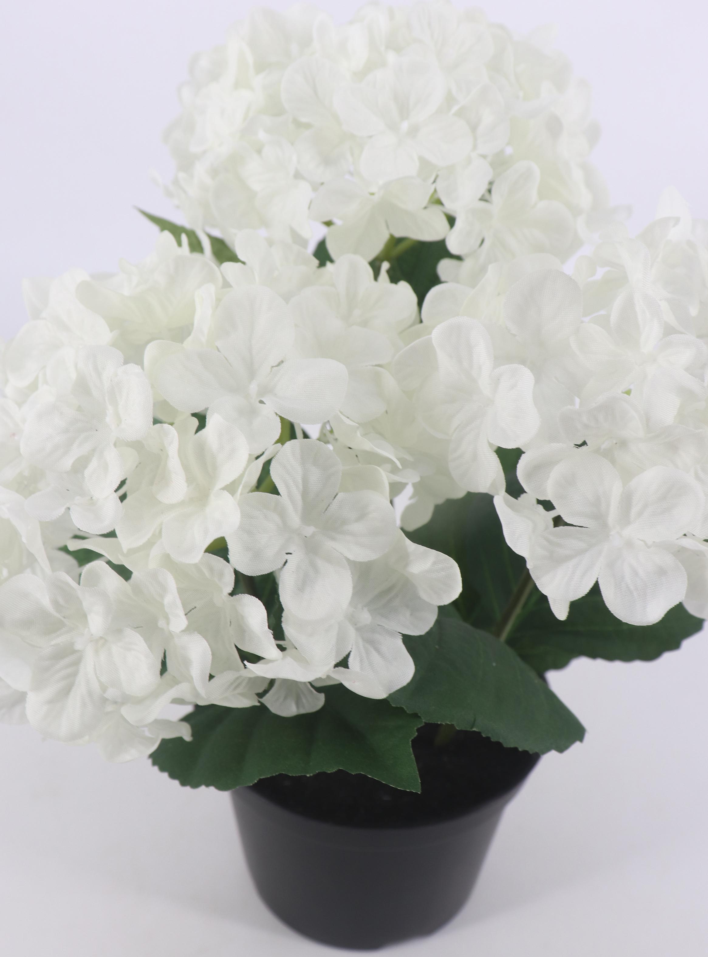 Alfombra Siesta 160x230 cm Verde-2