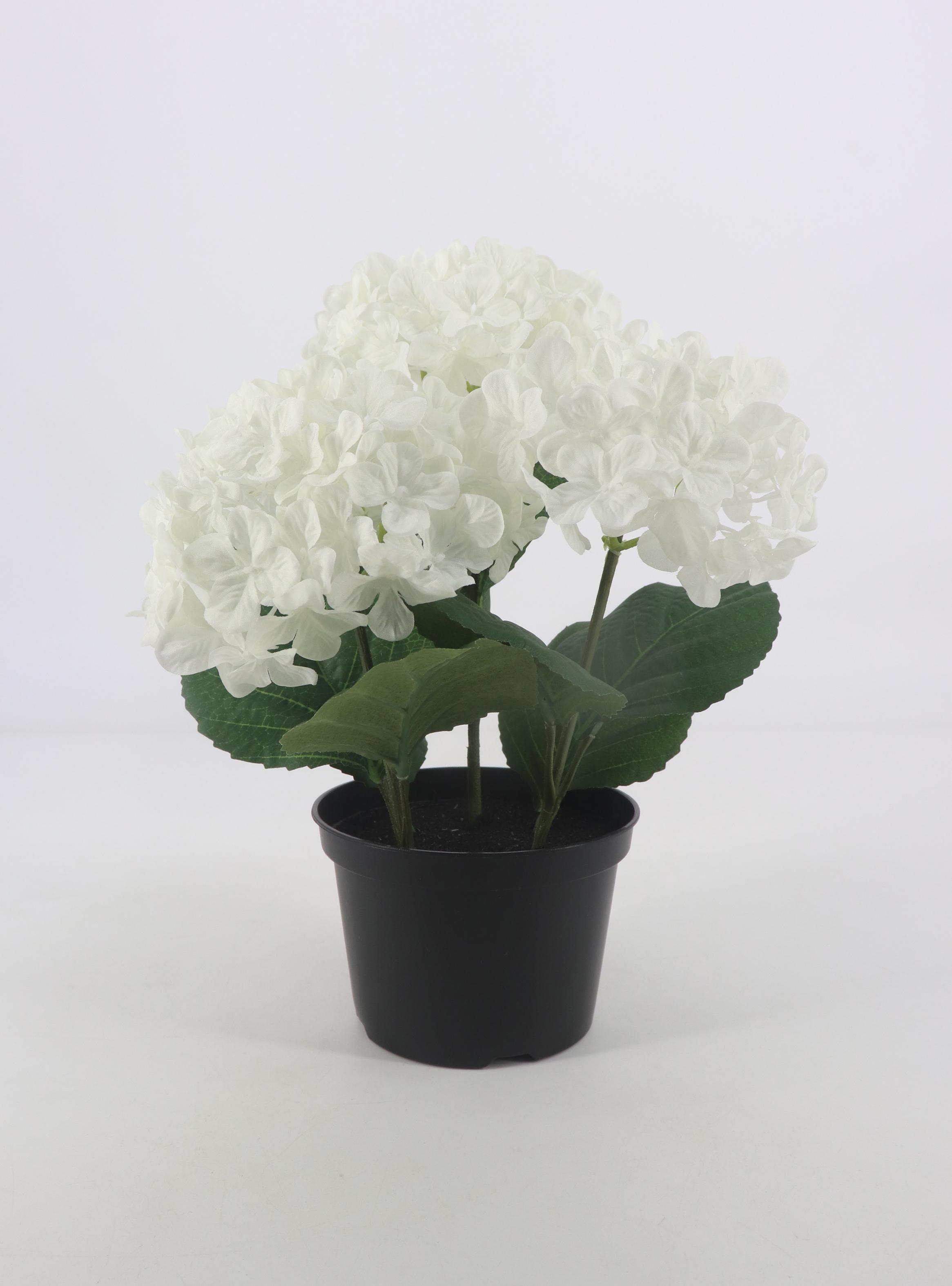 Alfombra Siesta 160x230 cm Verde-0