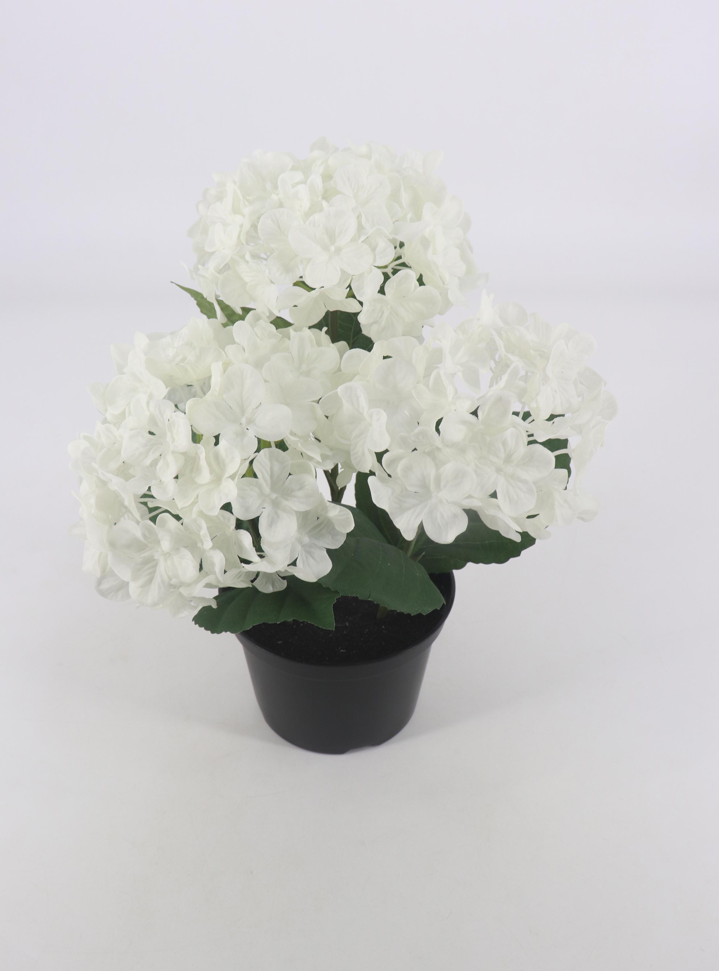 Alfombra Siesta 160x230 cm Verde-1