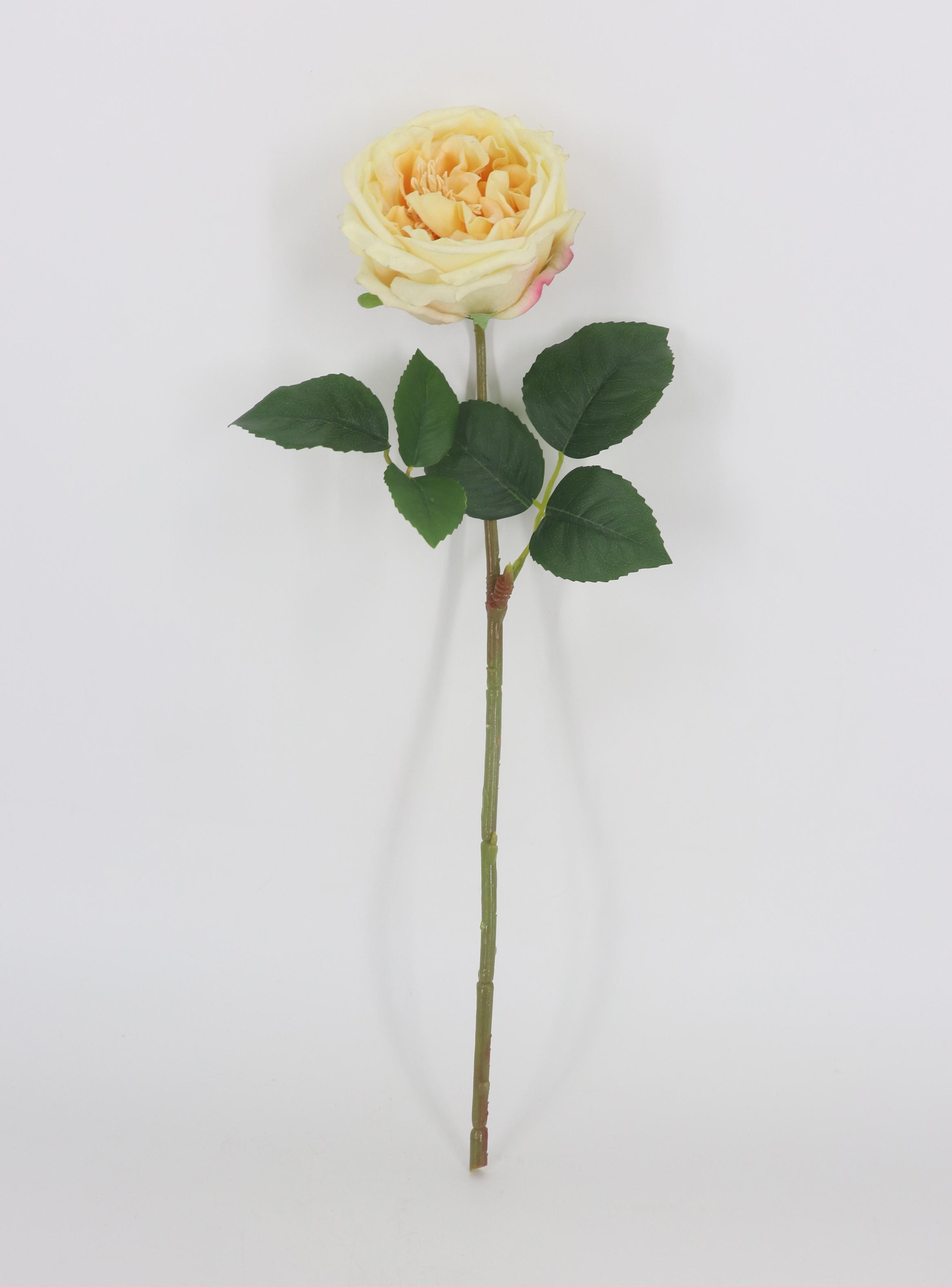 Alfombra Siesta 240 x 305 cm Verde-0