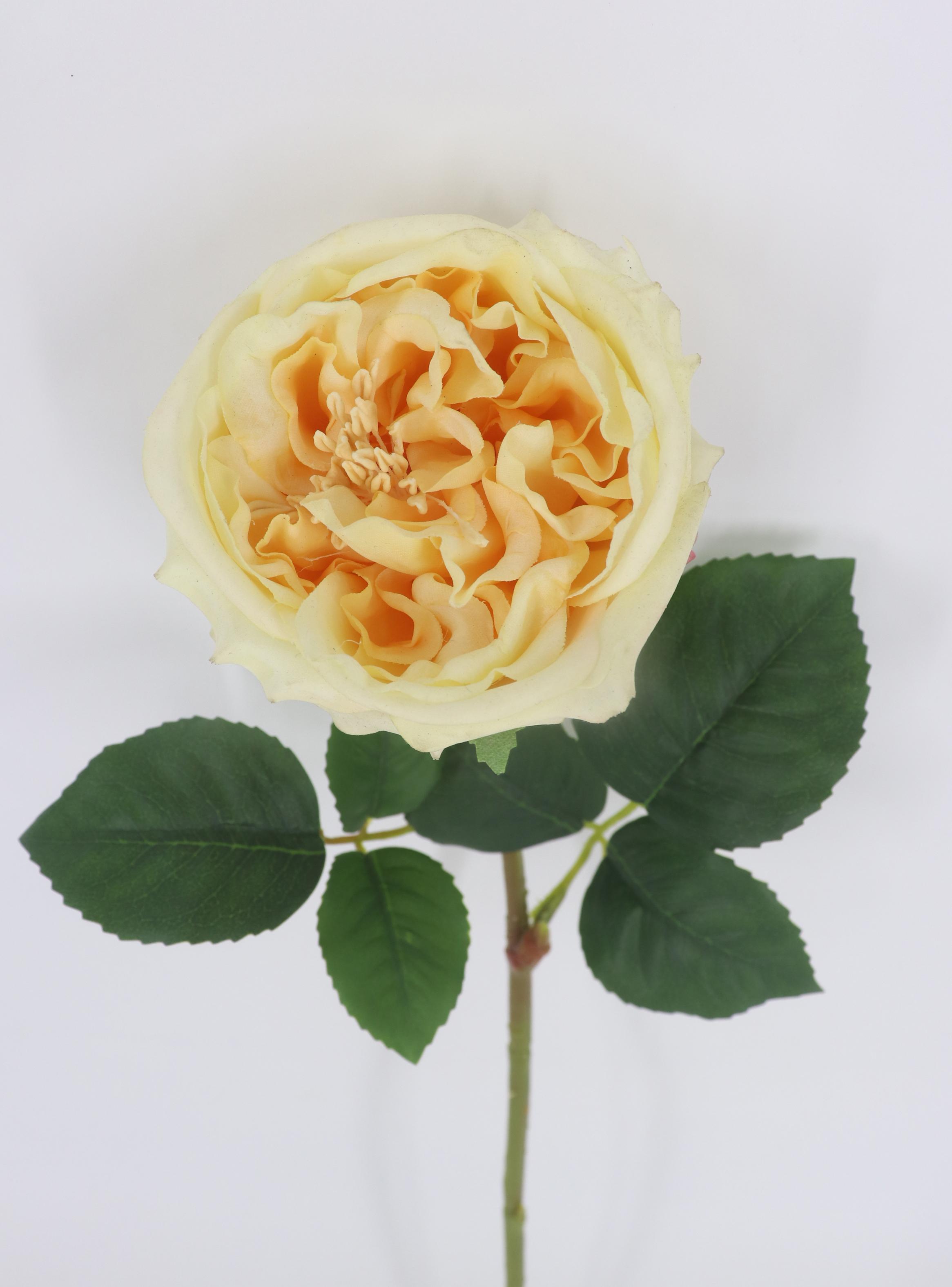 Alfombra Siesta 240 x 305 cm Verde-2