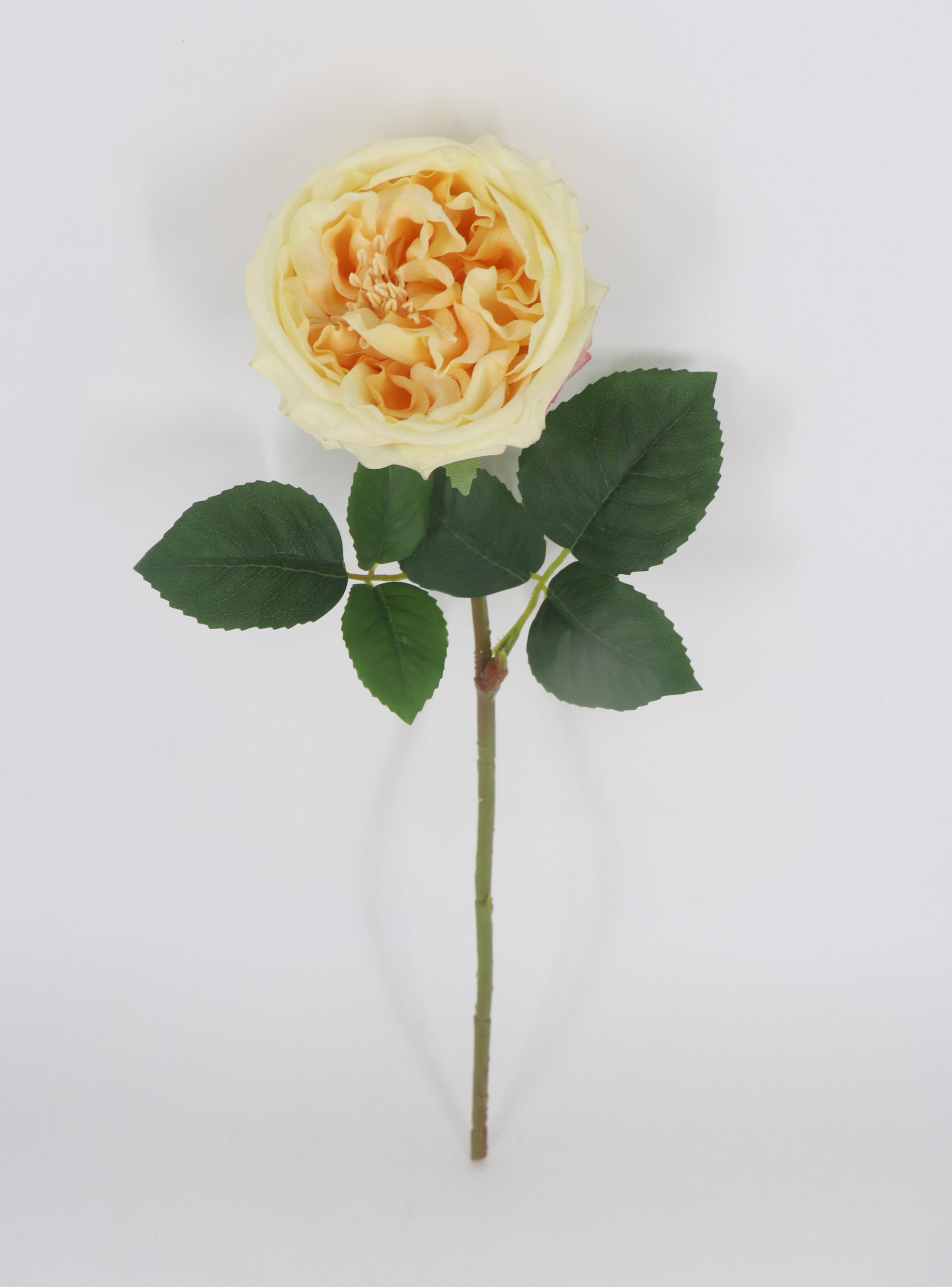 Alfombra Siesta 240 x 305 cm Verde-1