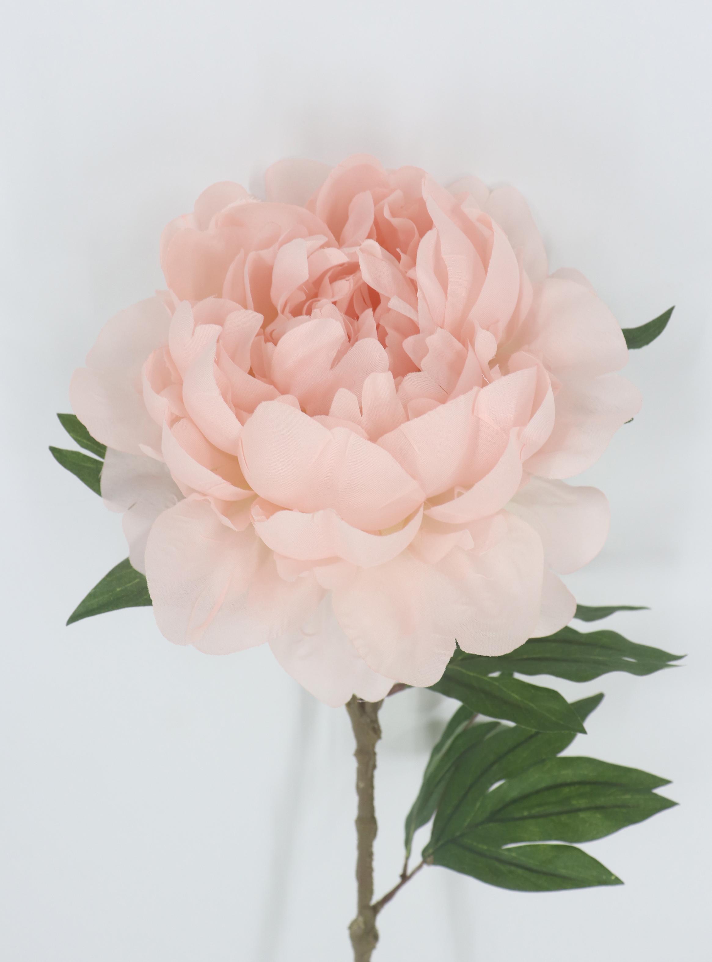 Rama Peonía Rosado-2