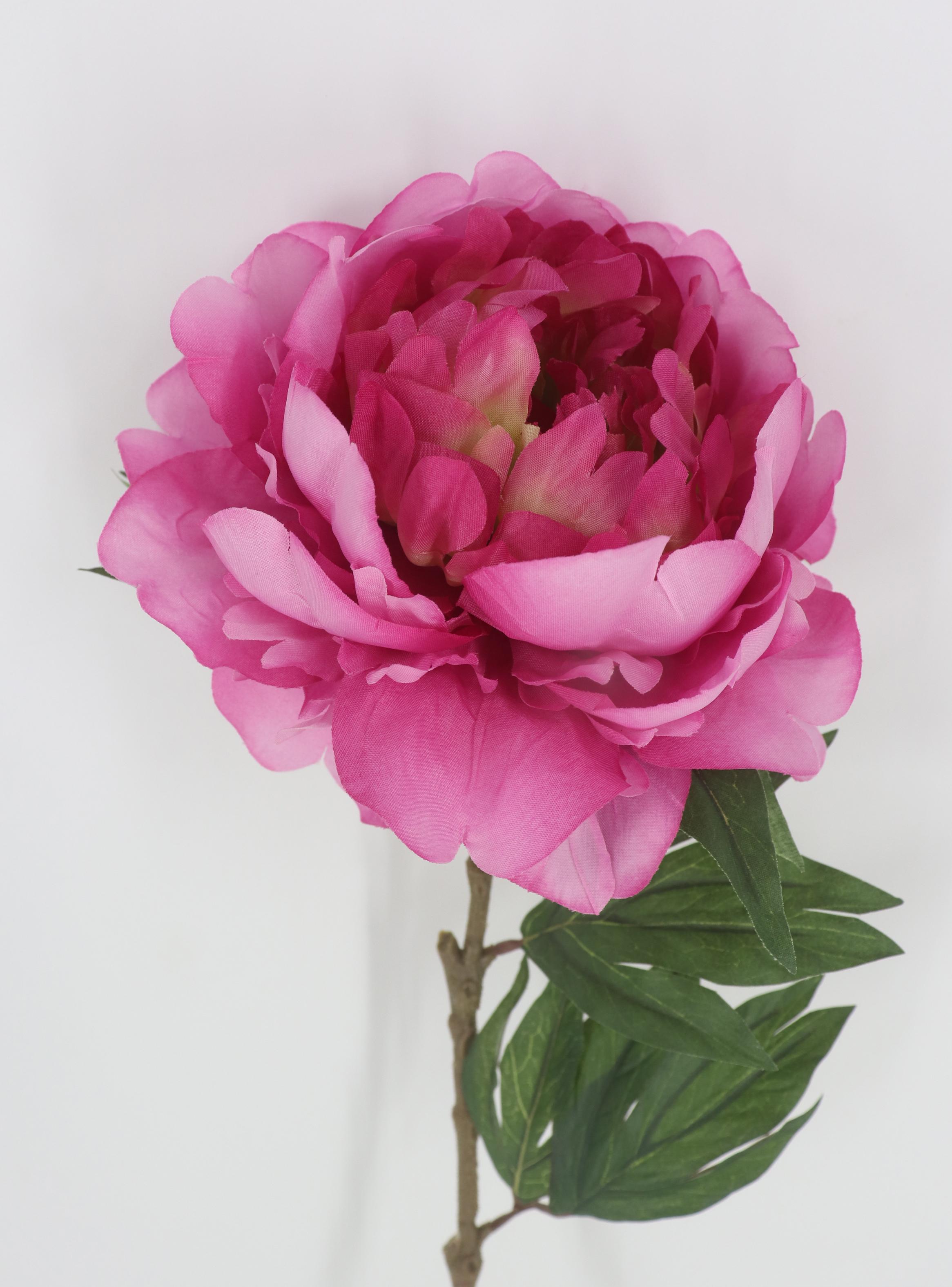 Rama Peonía Rosado Osc-2