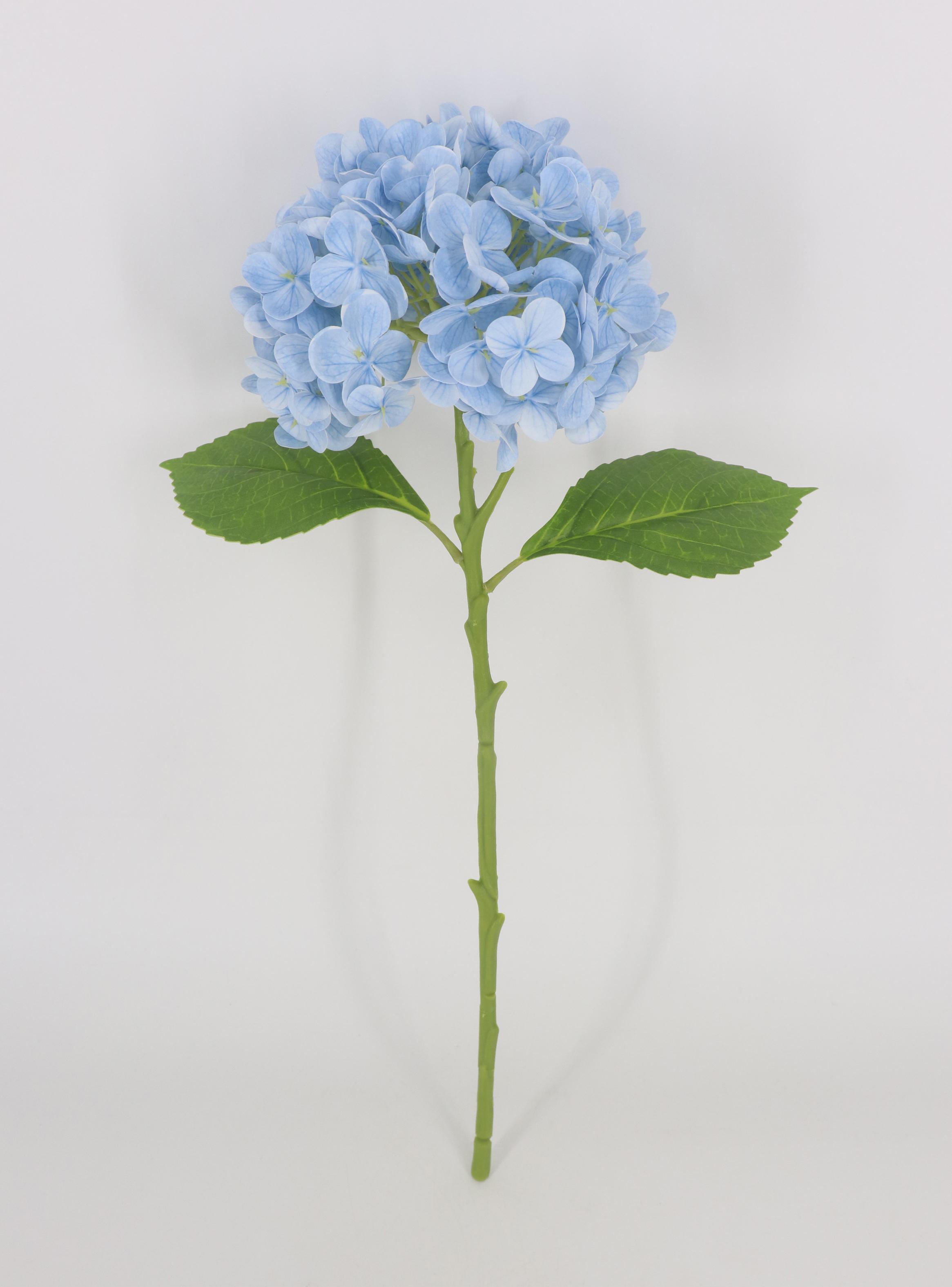 Rama Hortensia Azul-0
