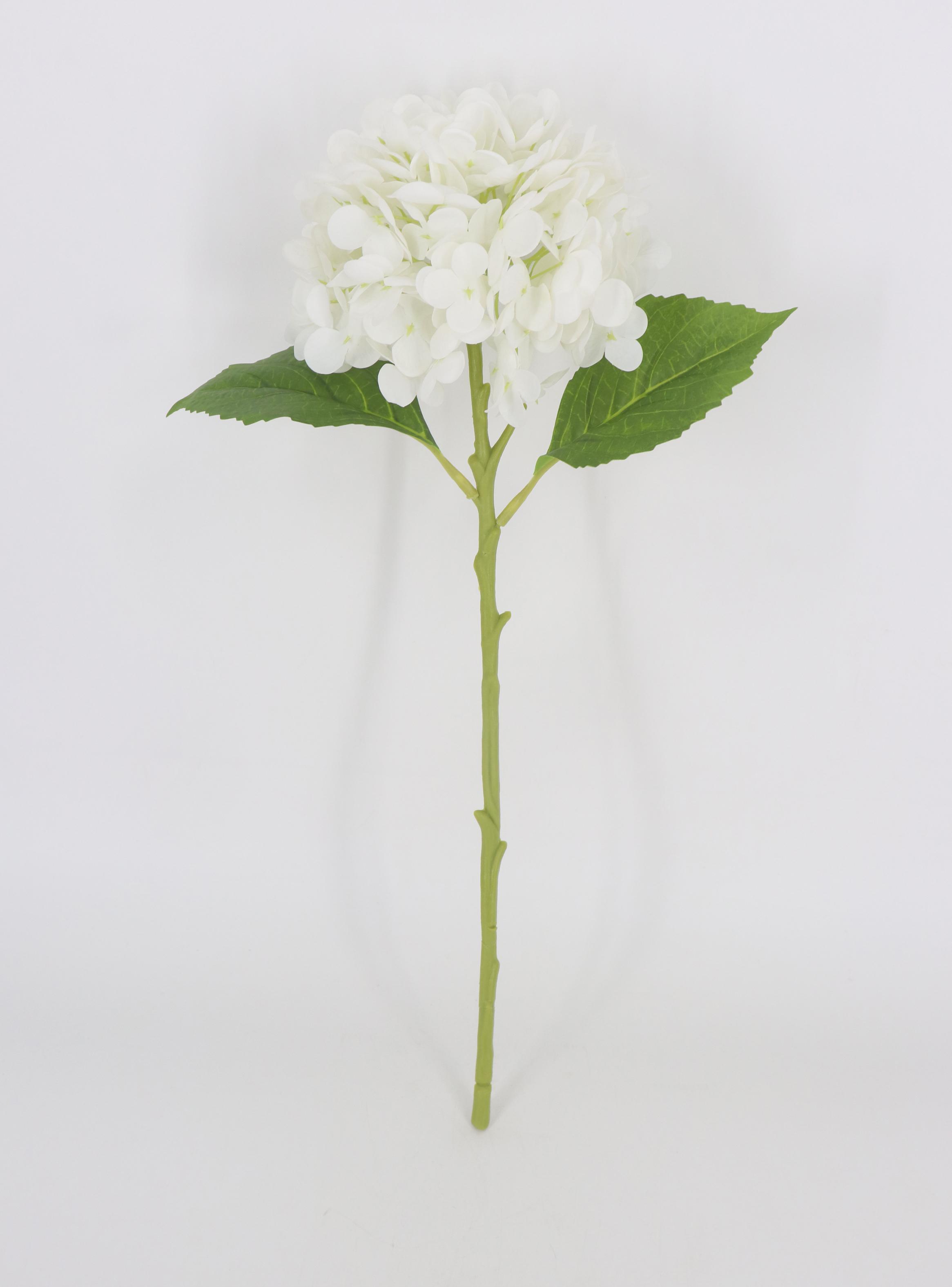 Rama Hortensia Blanca-0
