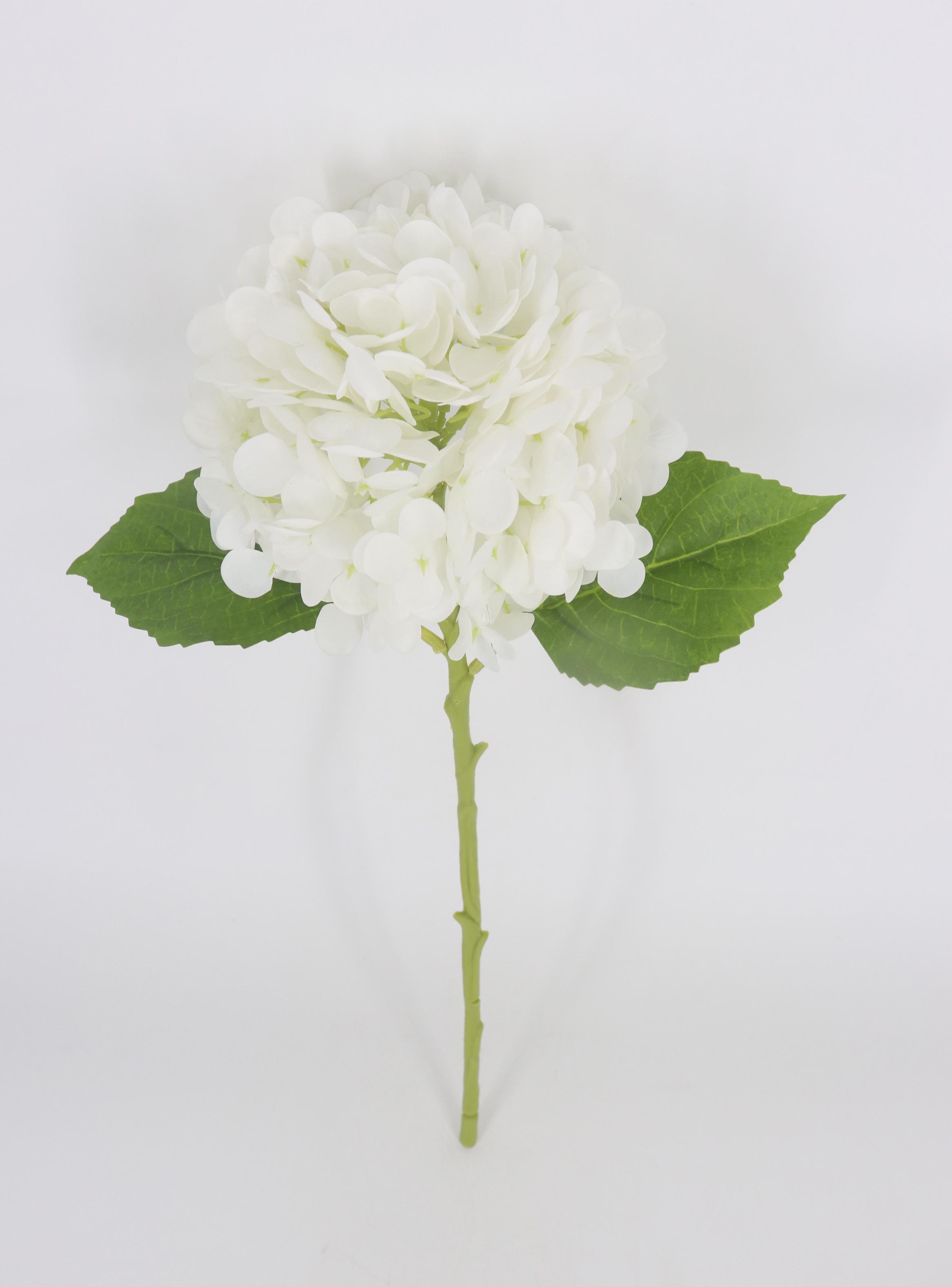 Rama Hortensia Blanca-1
