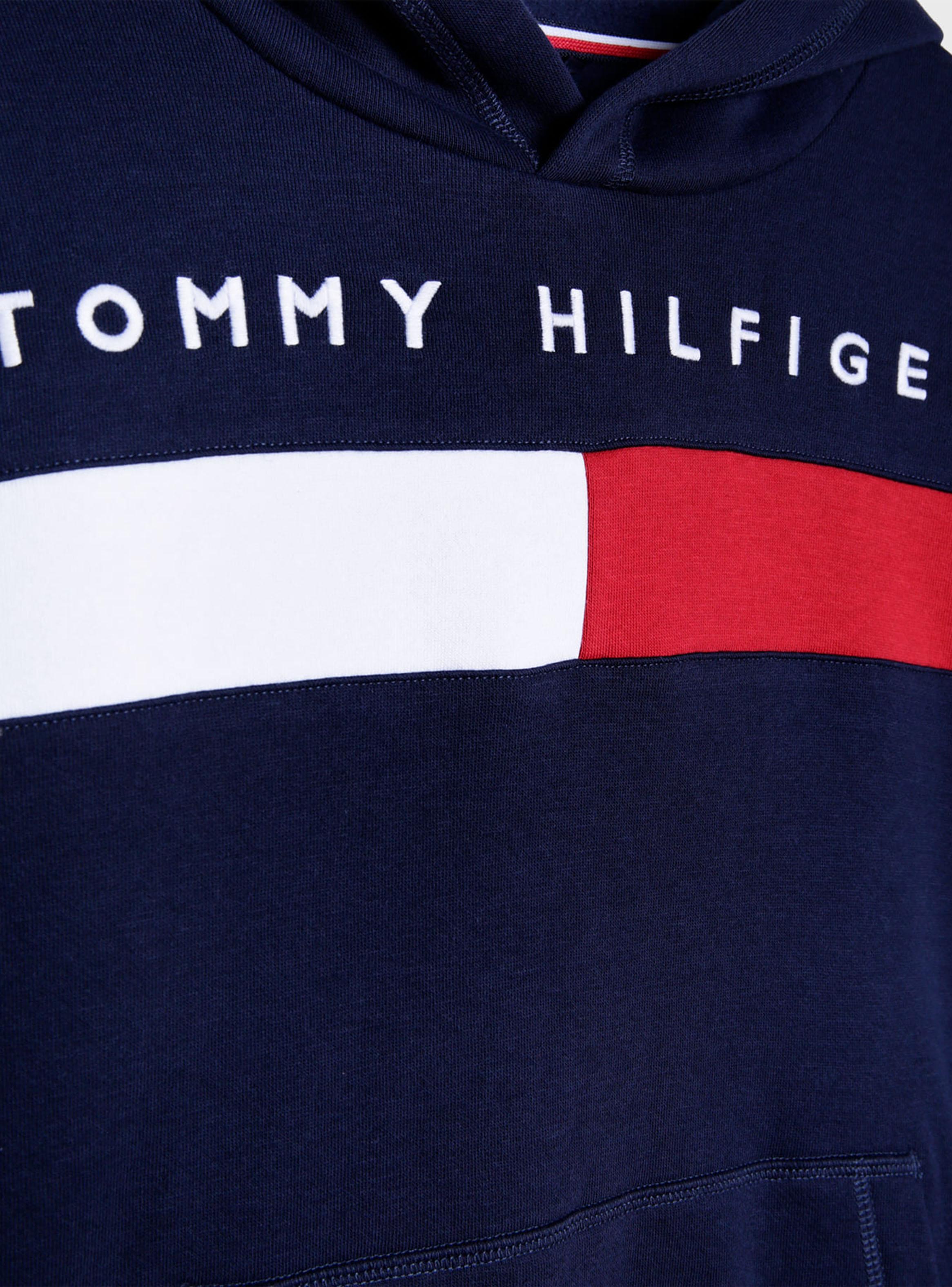 Polerón Capucha Flag Logo Chest-2