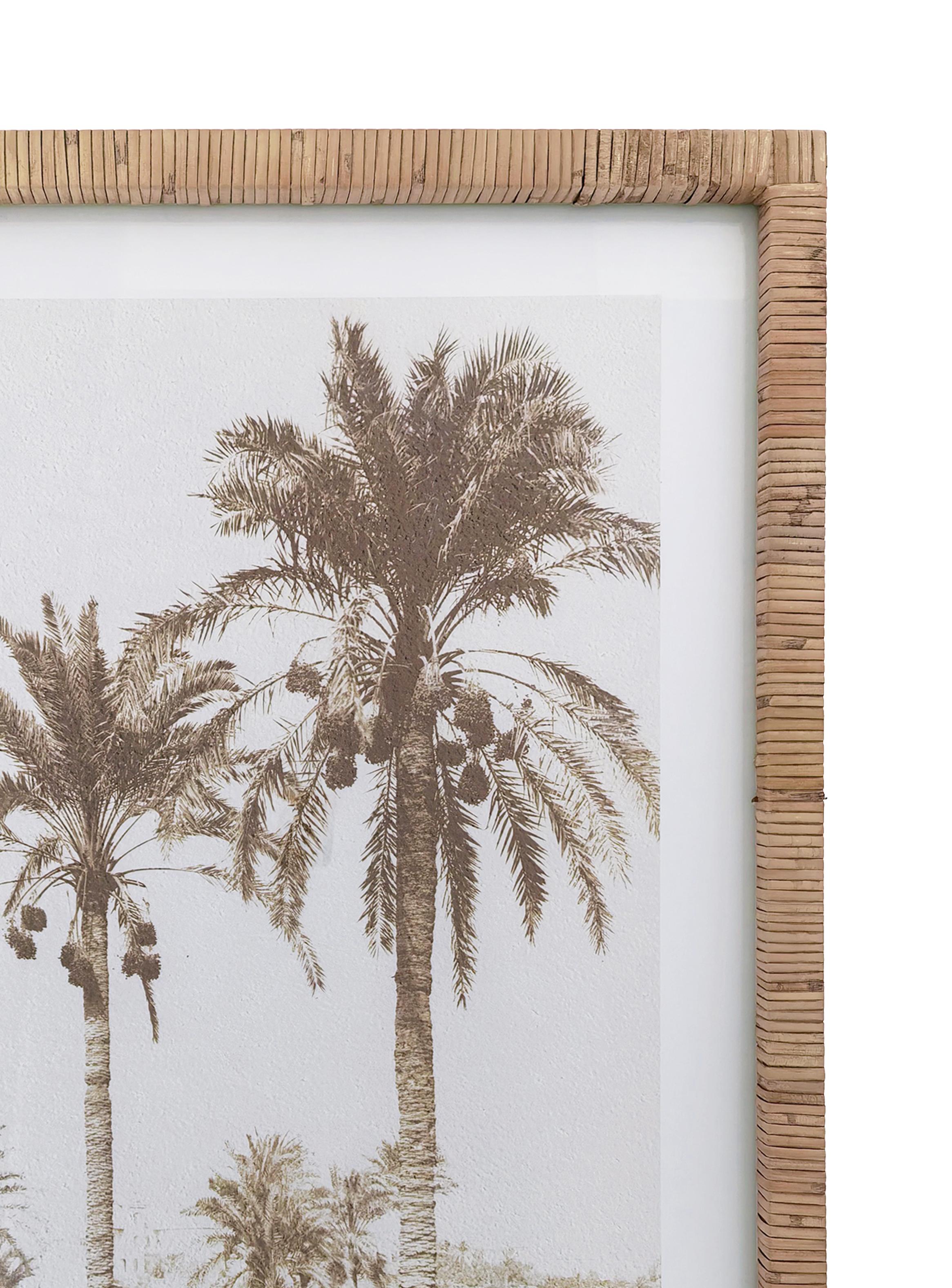 Cuadro Palmera Ratán 2-2