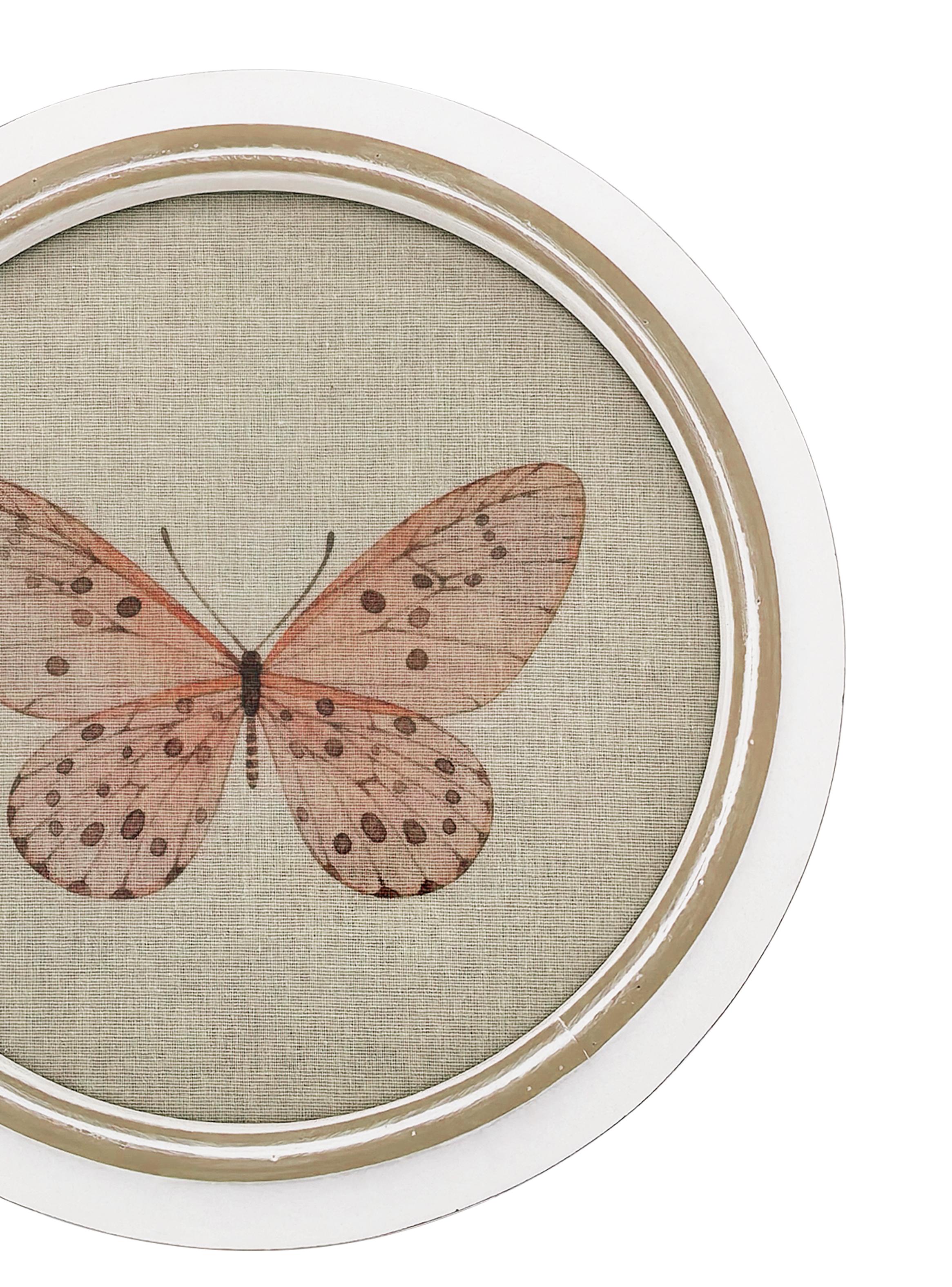 Cuadro Redondo Mariposa 2-2