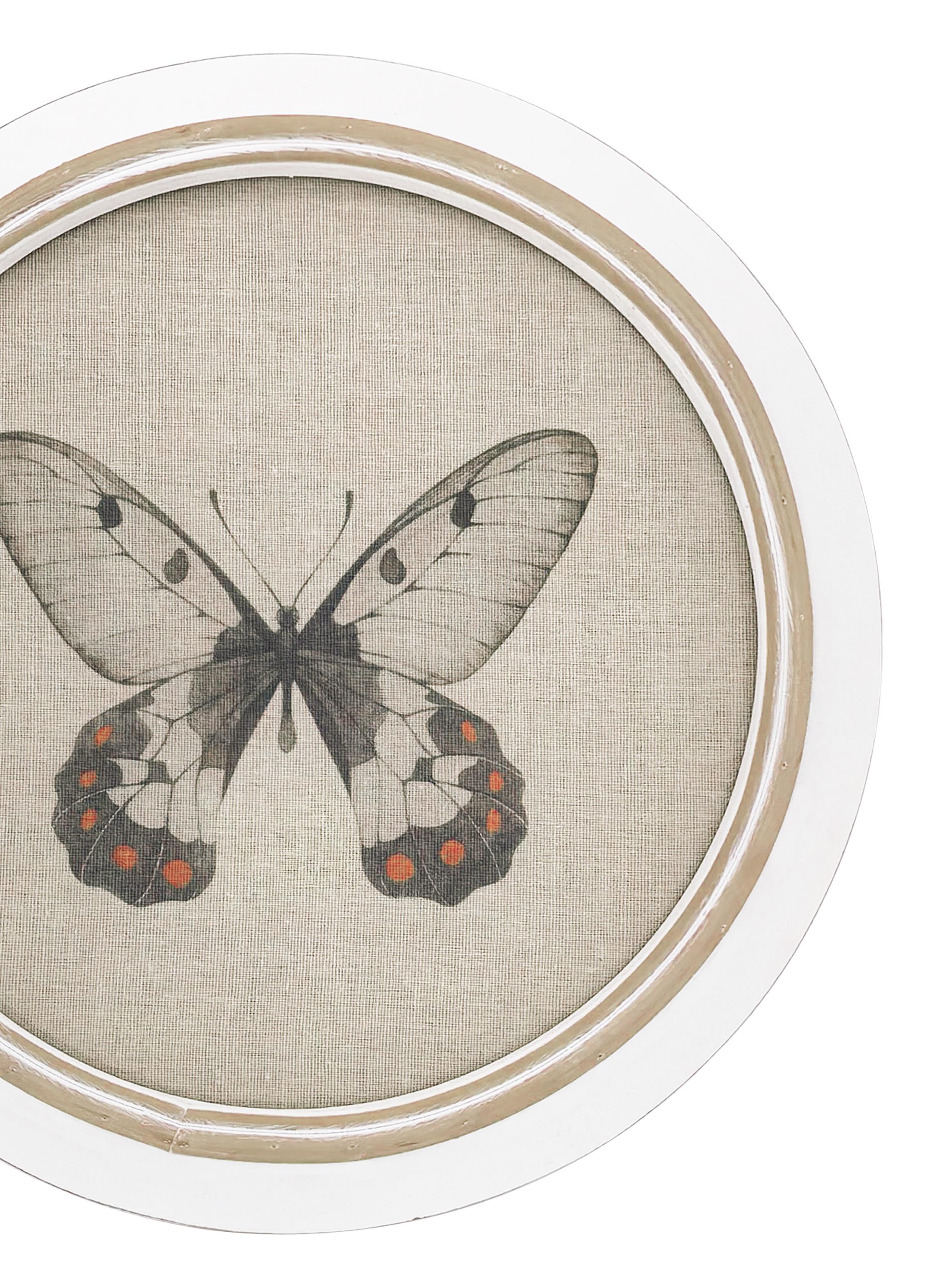 Cuadro Redondo Mariposa 3-2