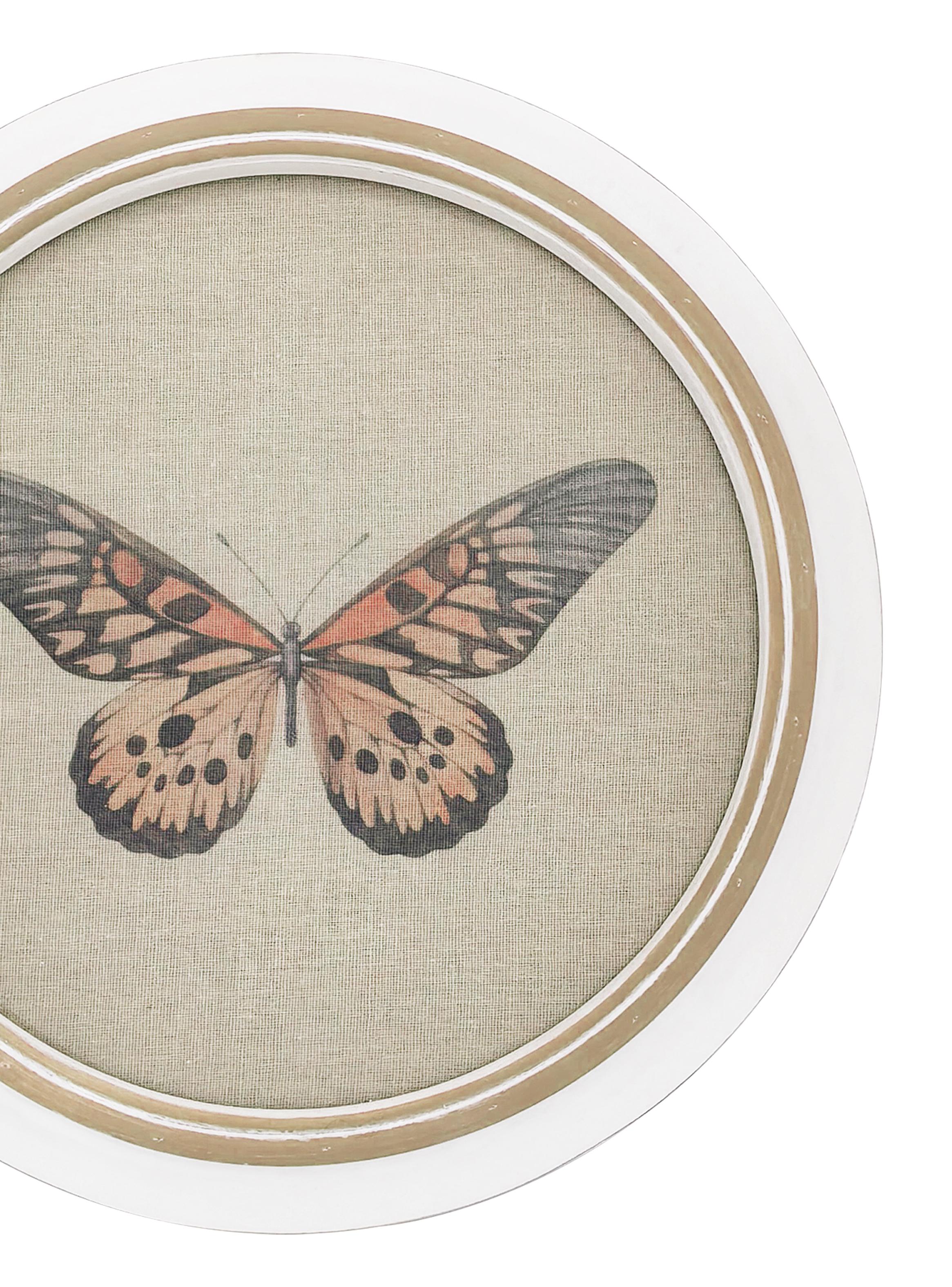 Cuadro Redondo Mariposa 5-2