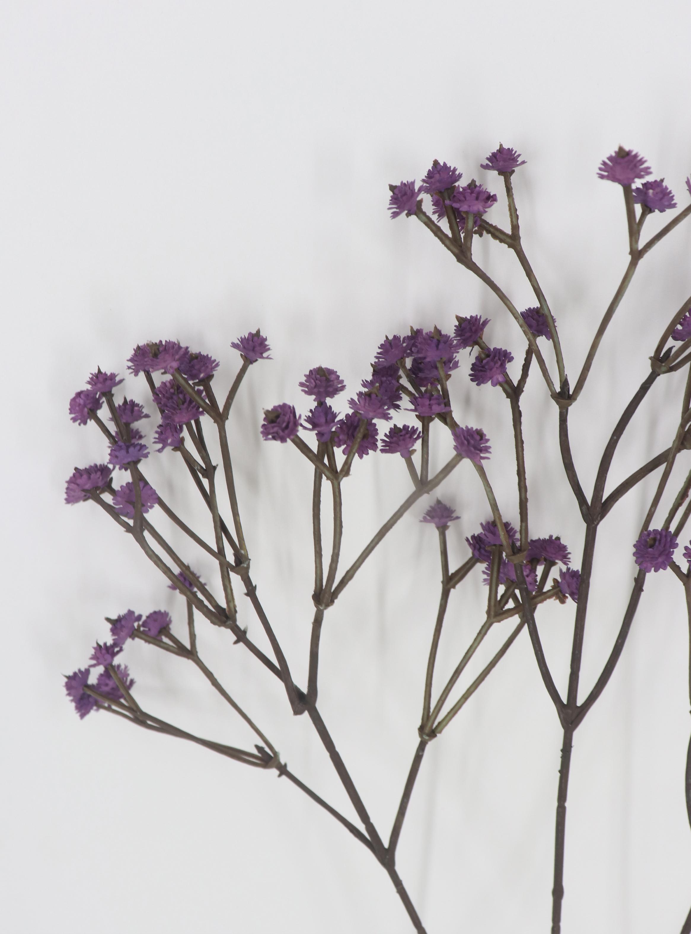 Flor Gypsophila Morada-2