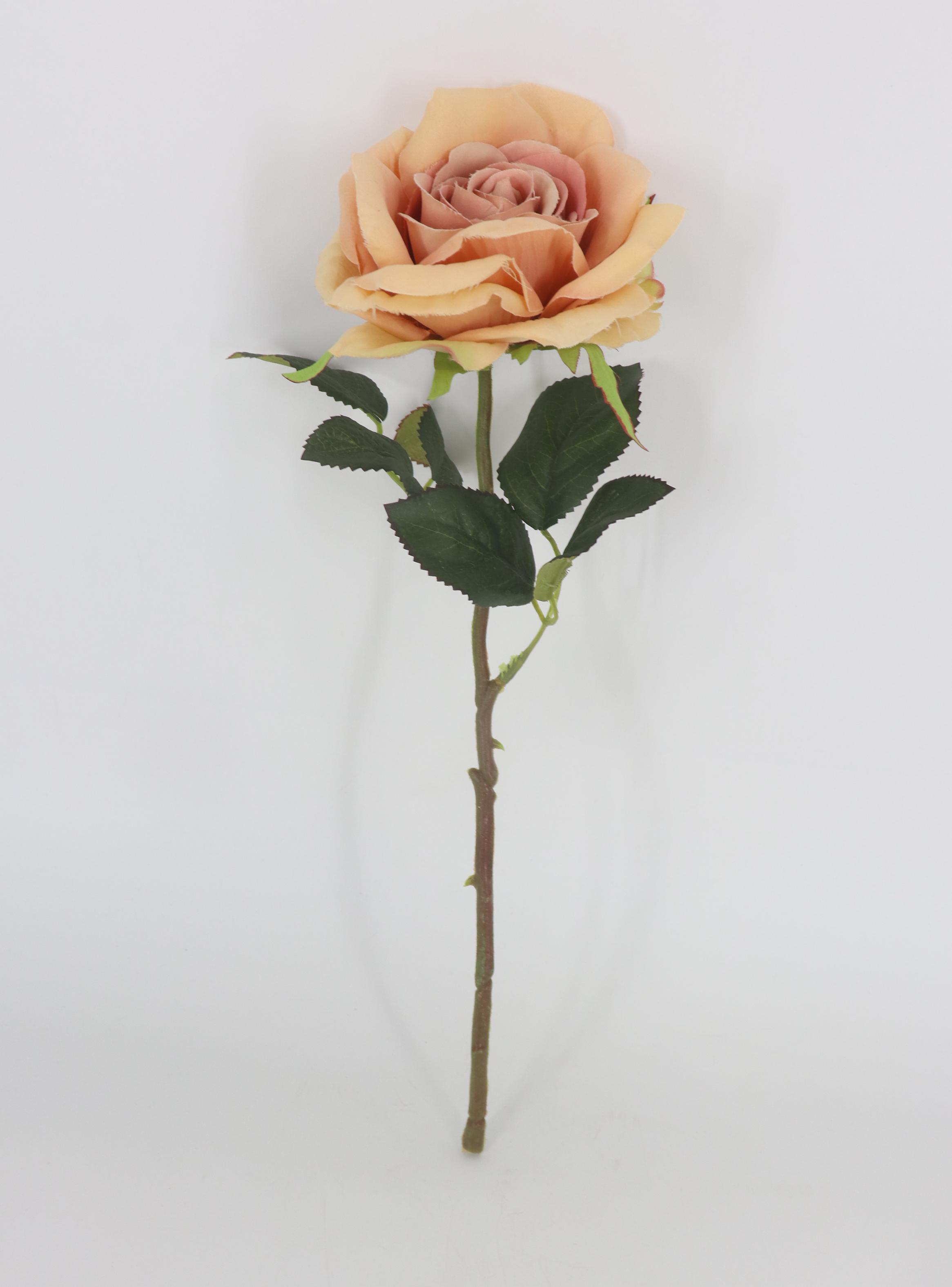 Flor Rosa Naranja-0