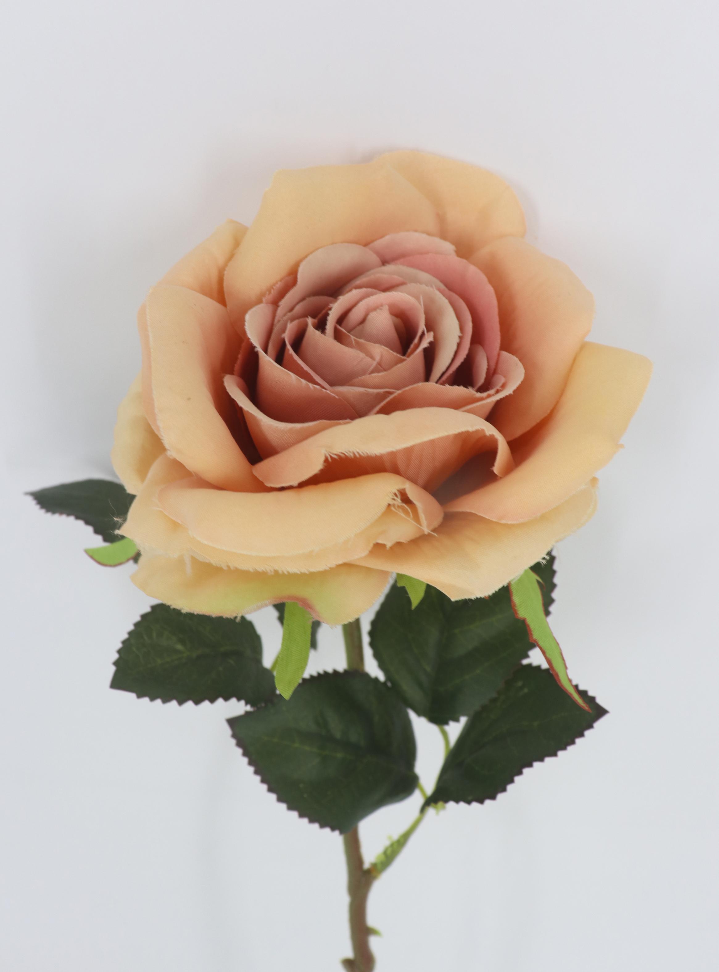Flor Rosa Naranja-2