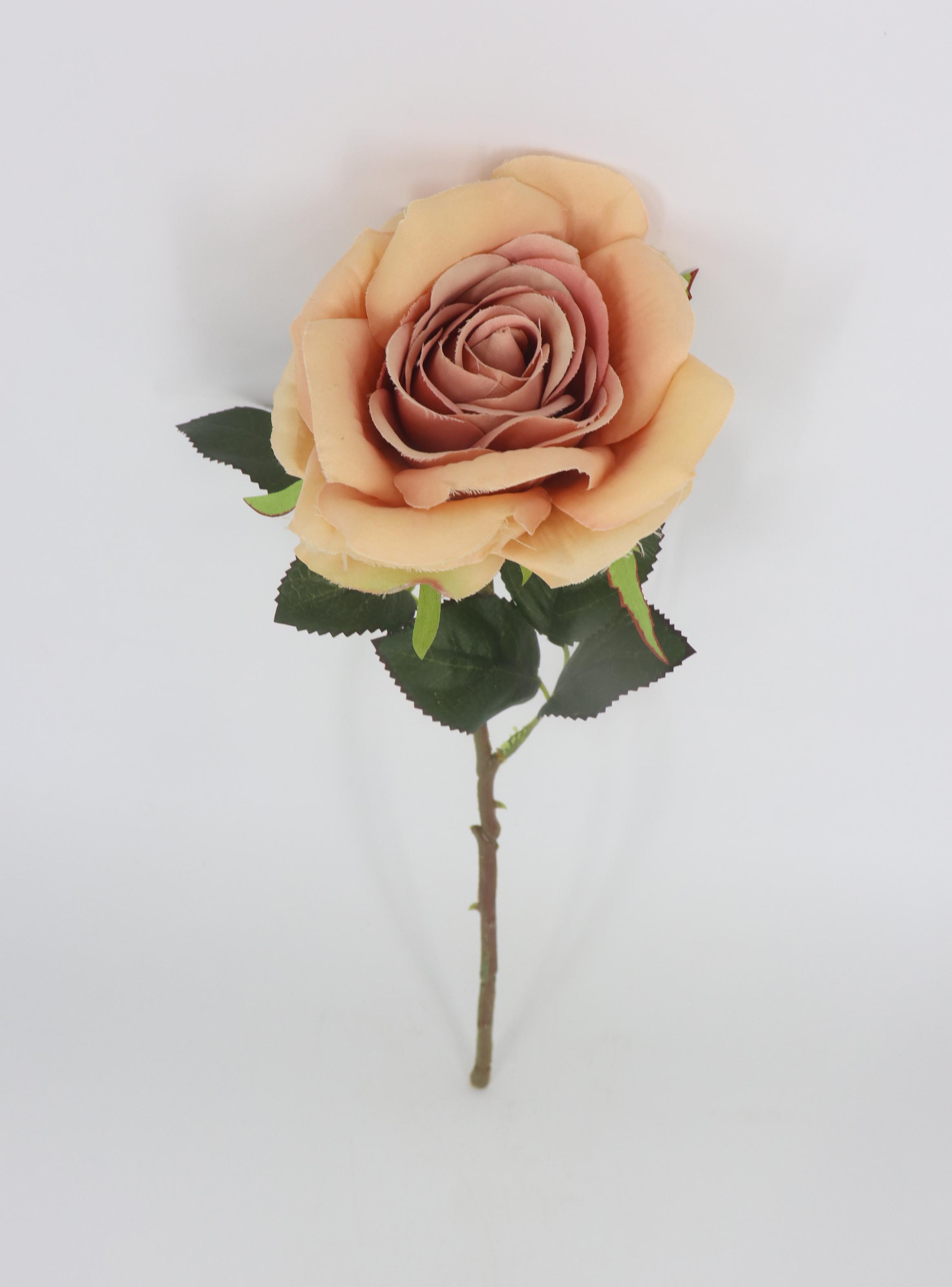 Flor Rosa Naranja-1