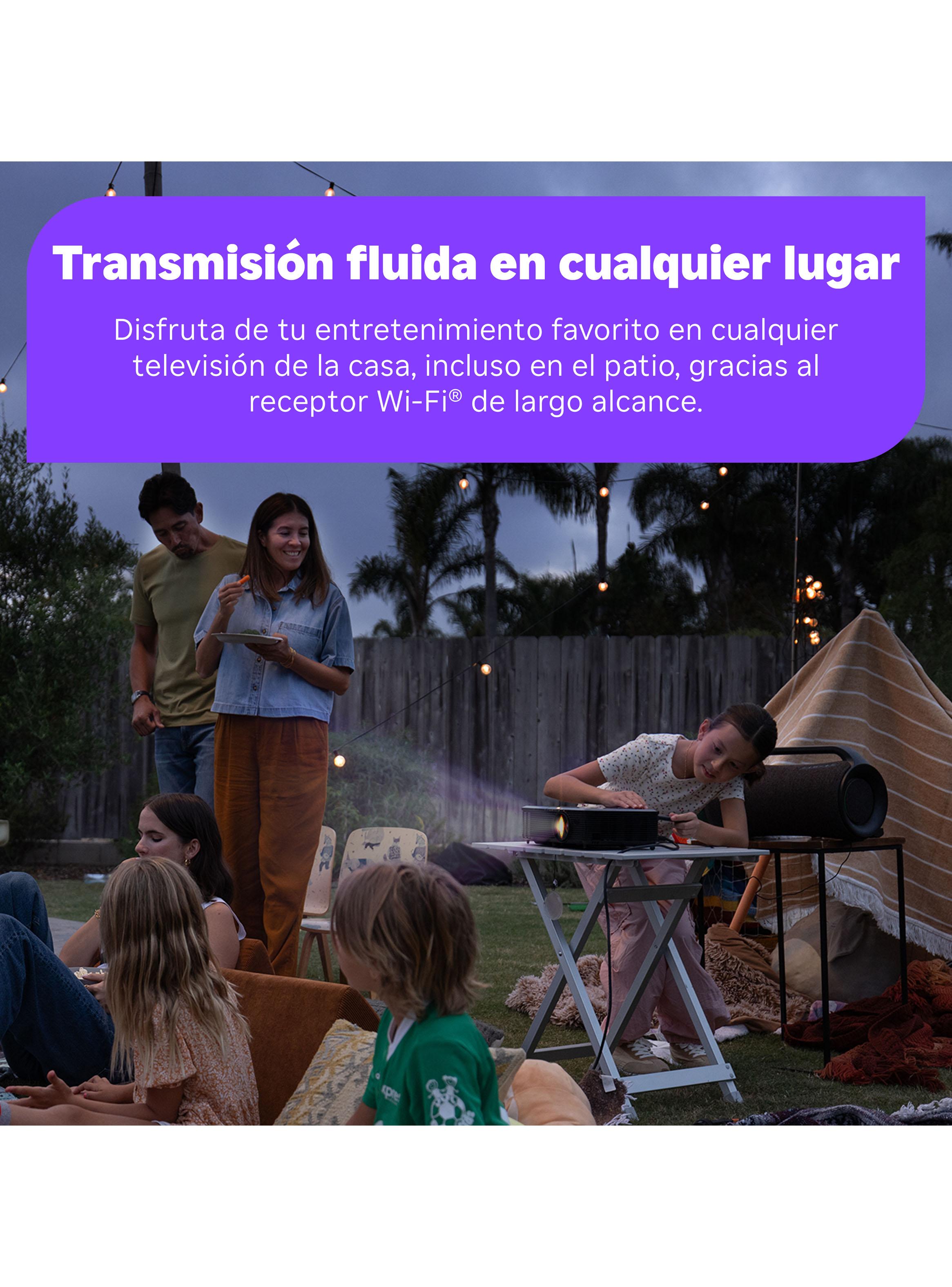 Roku Streaming Stick 4K-6