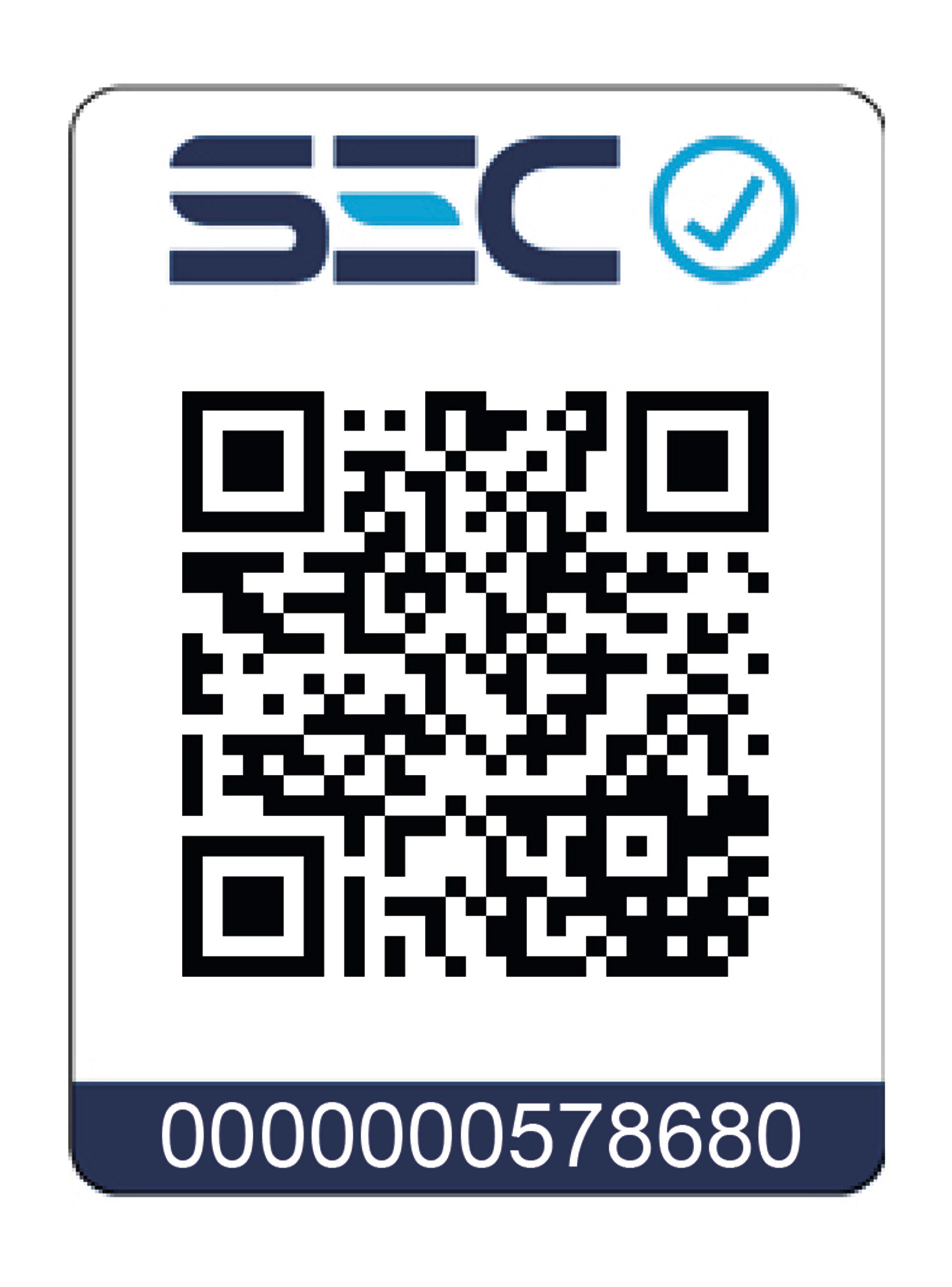 Estación de Planchado a Vapor Steam Iron Station Pro-5