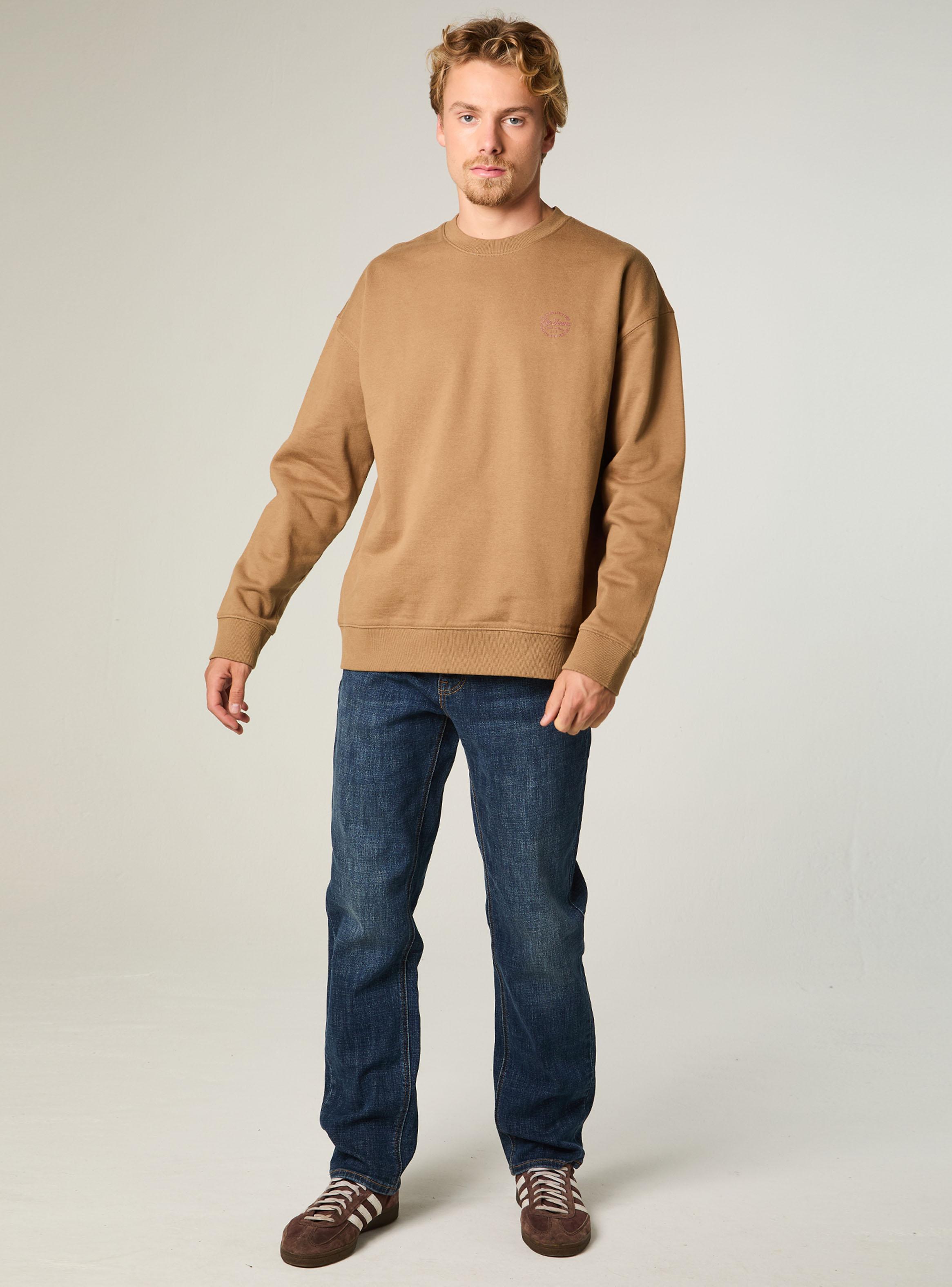Polerón Regular Fit Casual-3