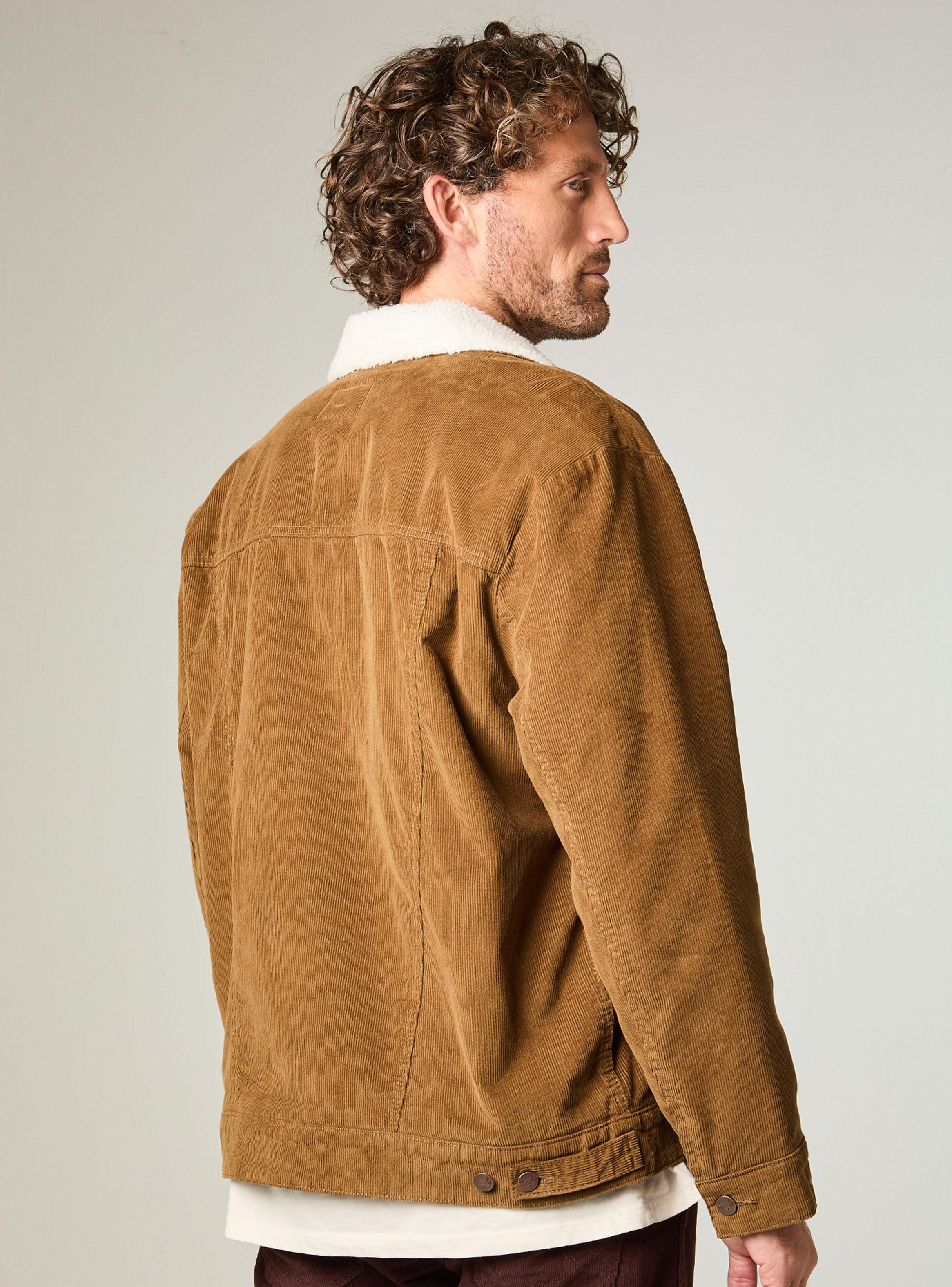 Chaqueta Cuello con Chiporro Cotelé Regular-1
