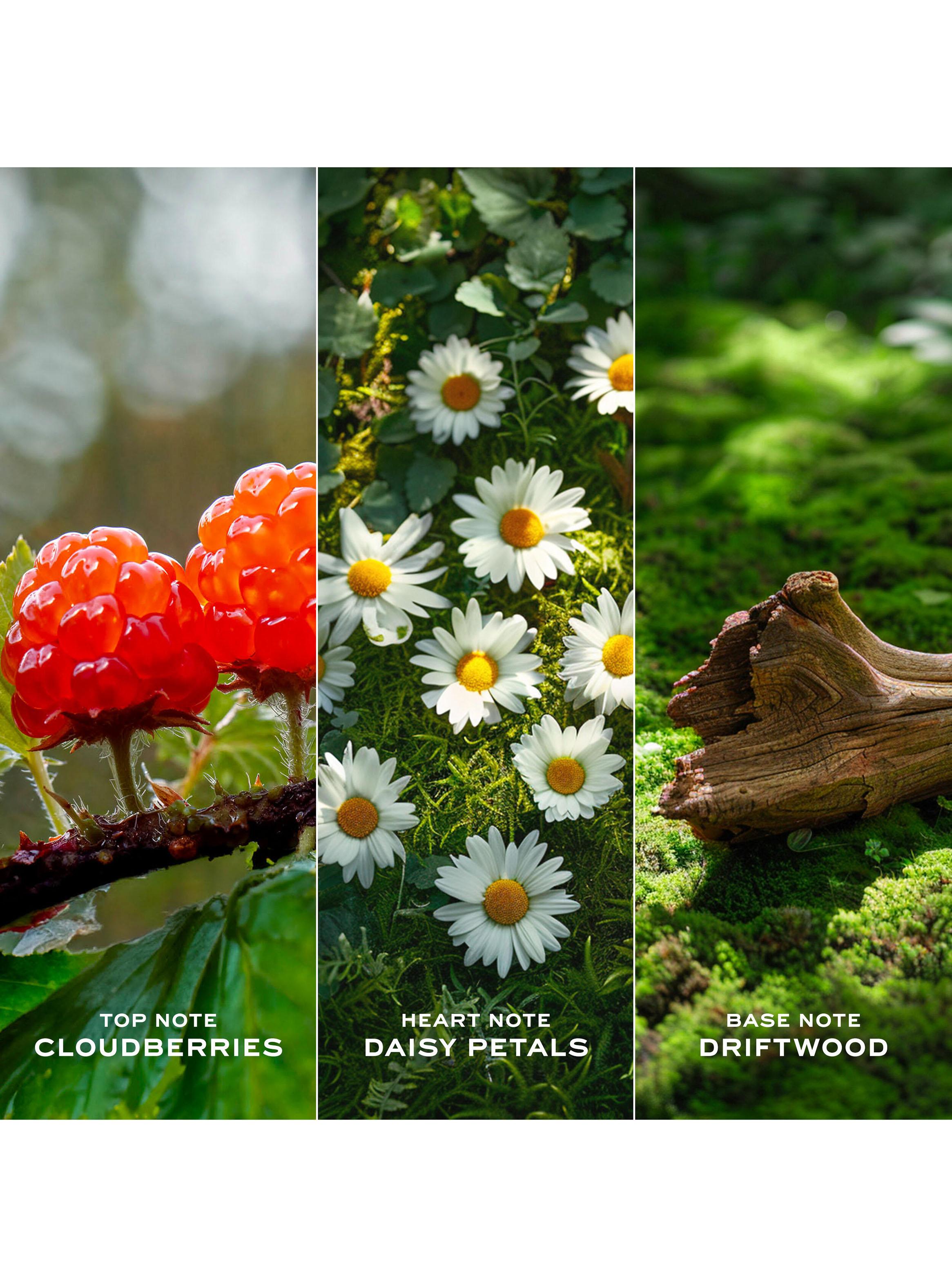 Perfume Marc Jacobs Daisy Love Mujer EDT 50 ml-2