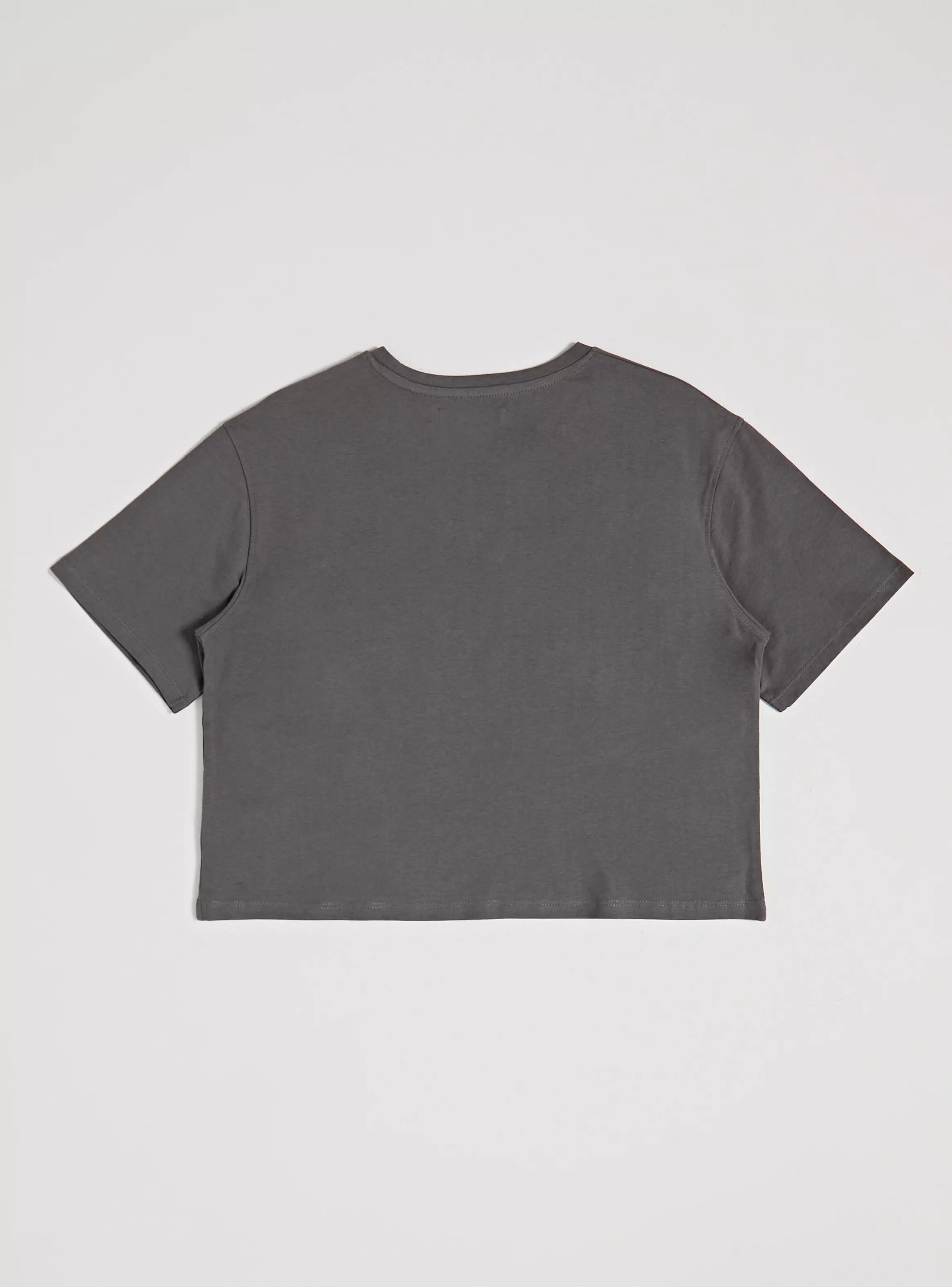 Polera Boxy Estampada Básica-2