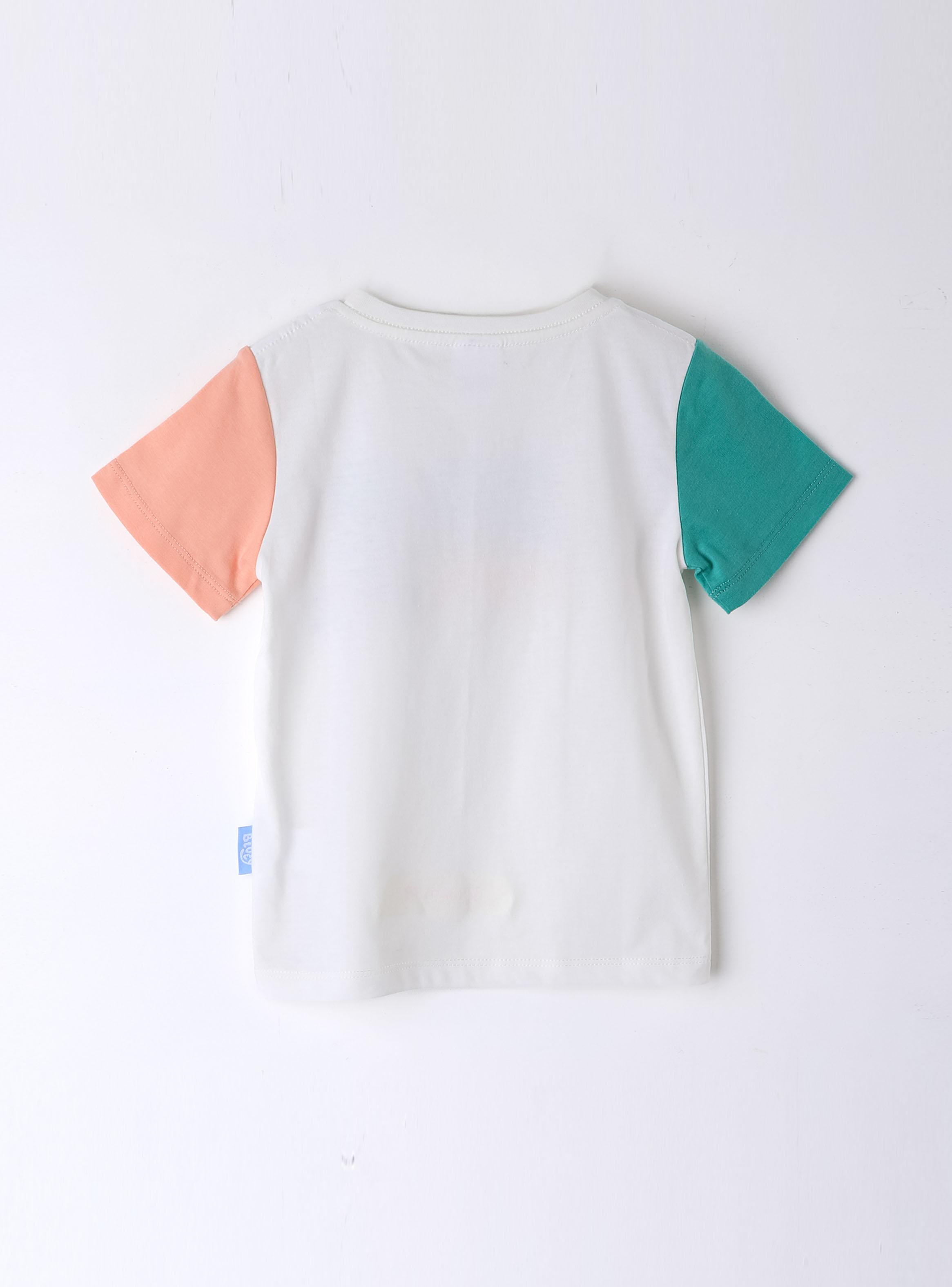 Polera Manga Corta Toddlero Raglán Bluey-1