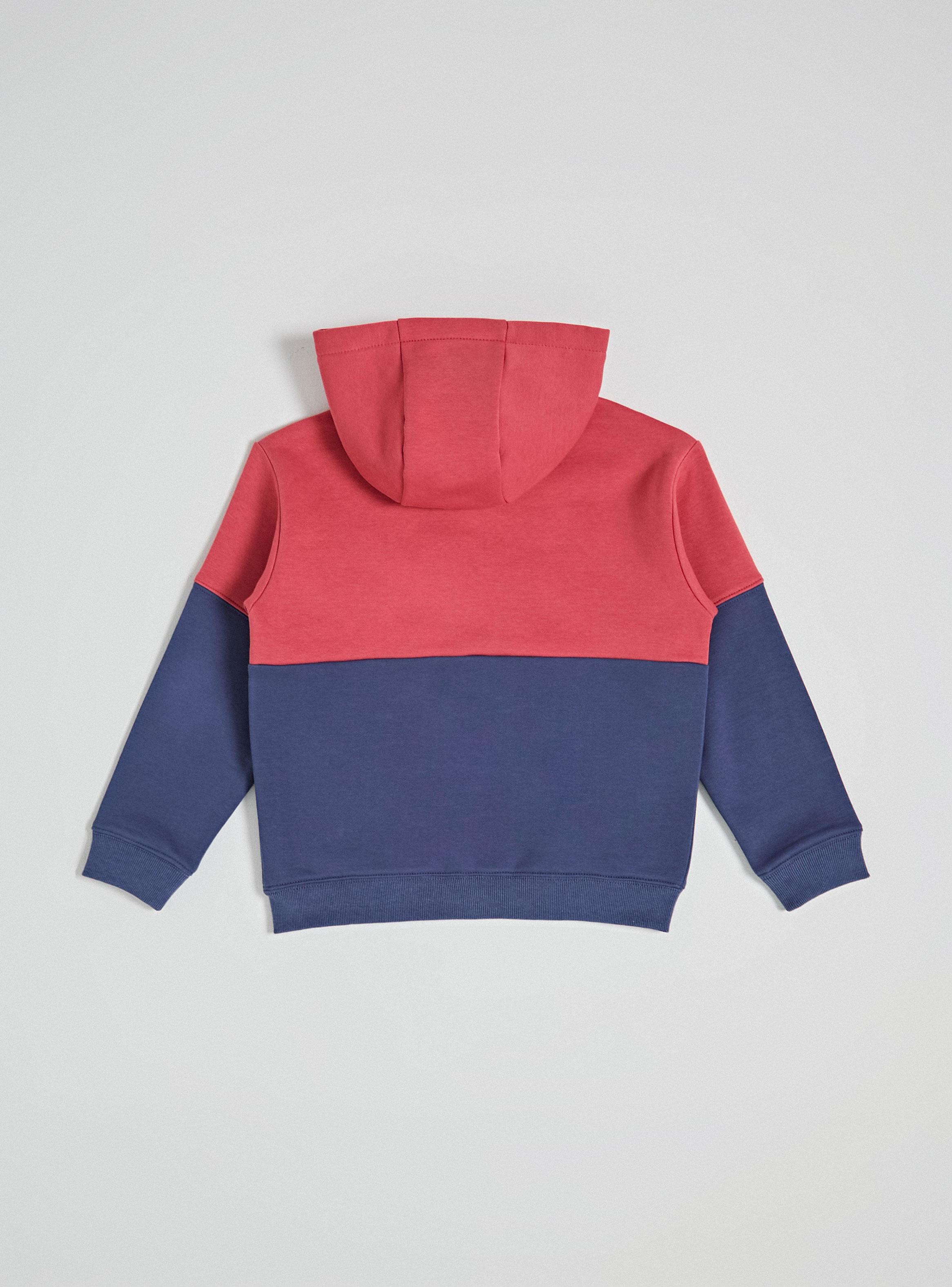 Polerón con Gorro Color Block Niño-2