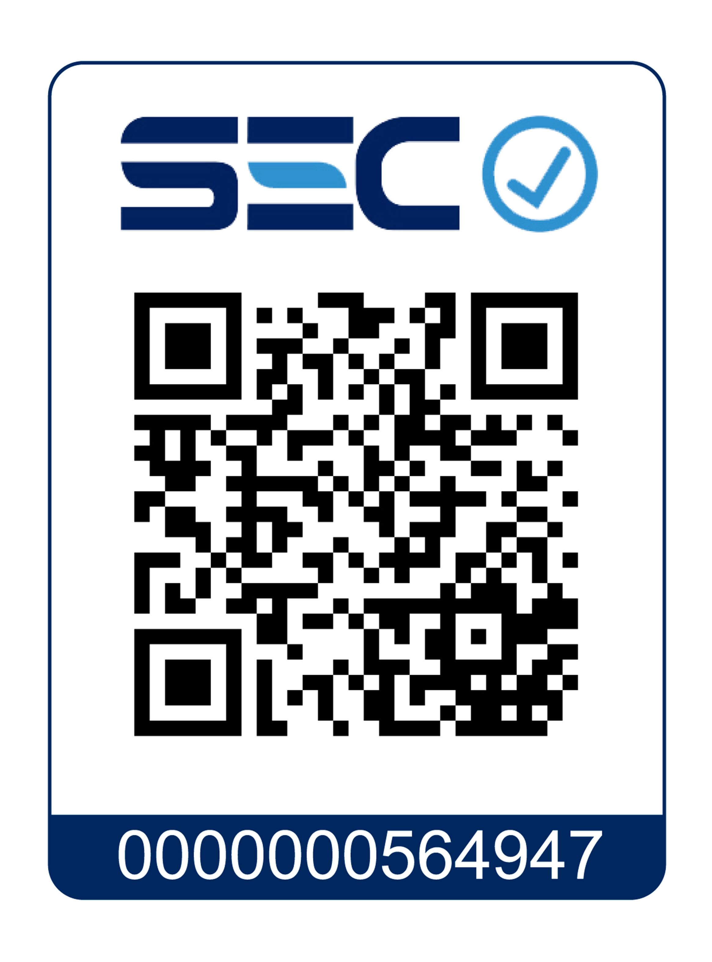 Limpiadora a Vapor SC 1 Upright-6