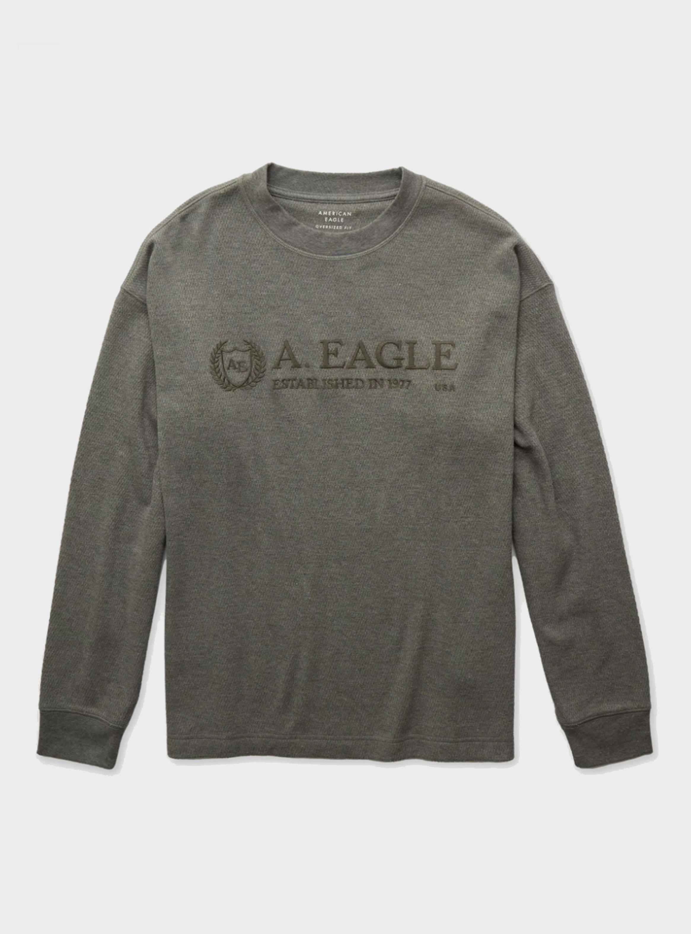 Polera Manga Larga AE con Logo Algodón-2