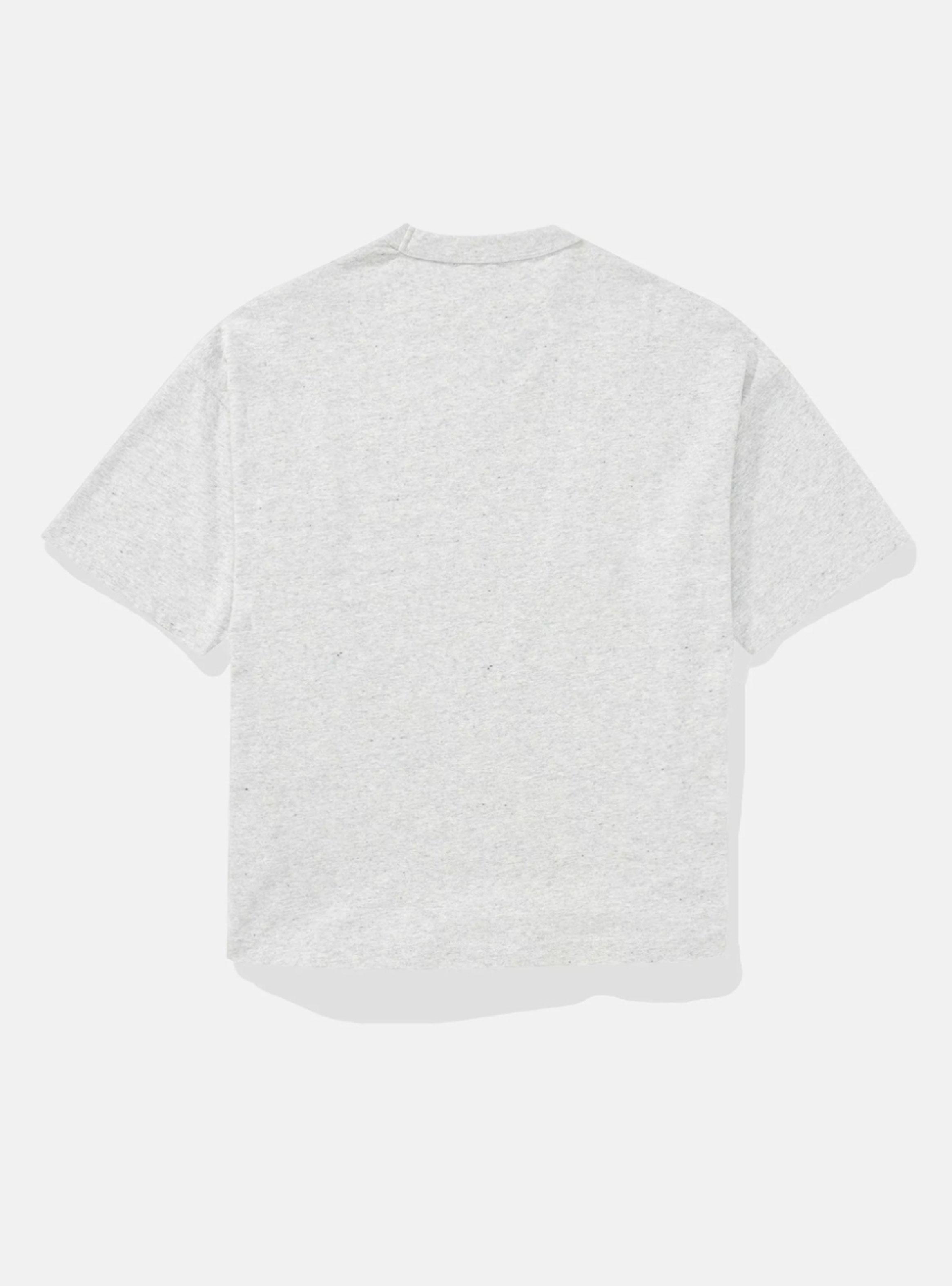 Polera AE Extragrande Pesada-3